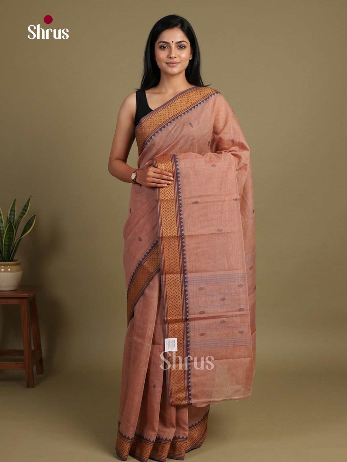 Chettinad Cotton Saree - EFS16054