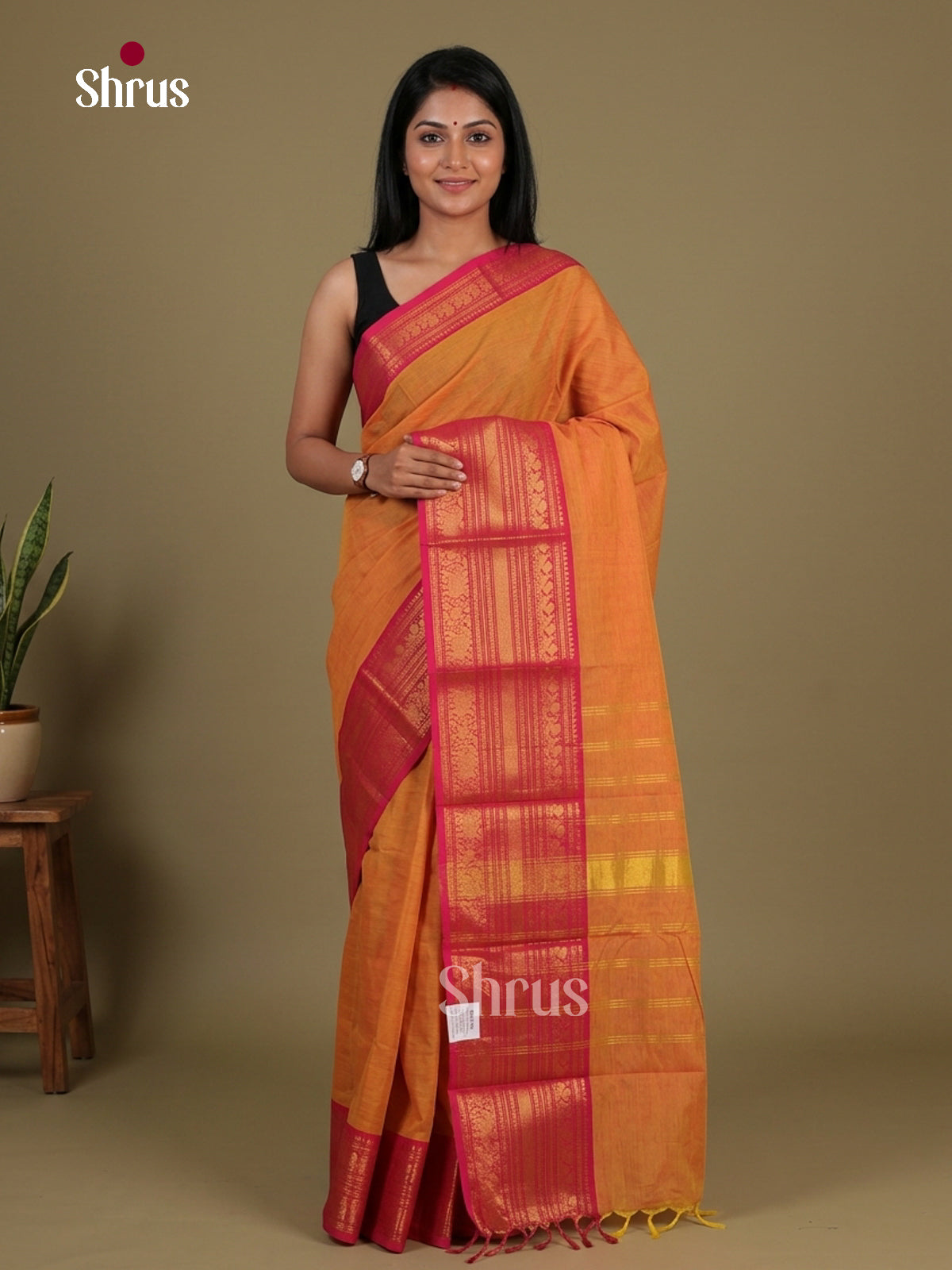 Chettinad Cotton Saree - EFS16068