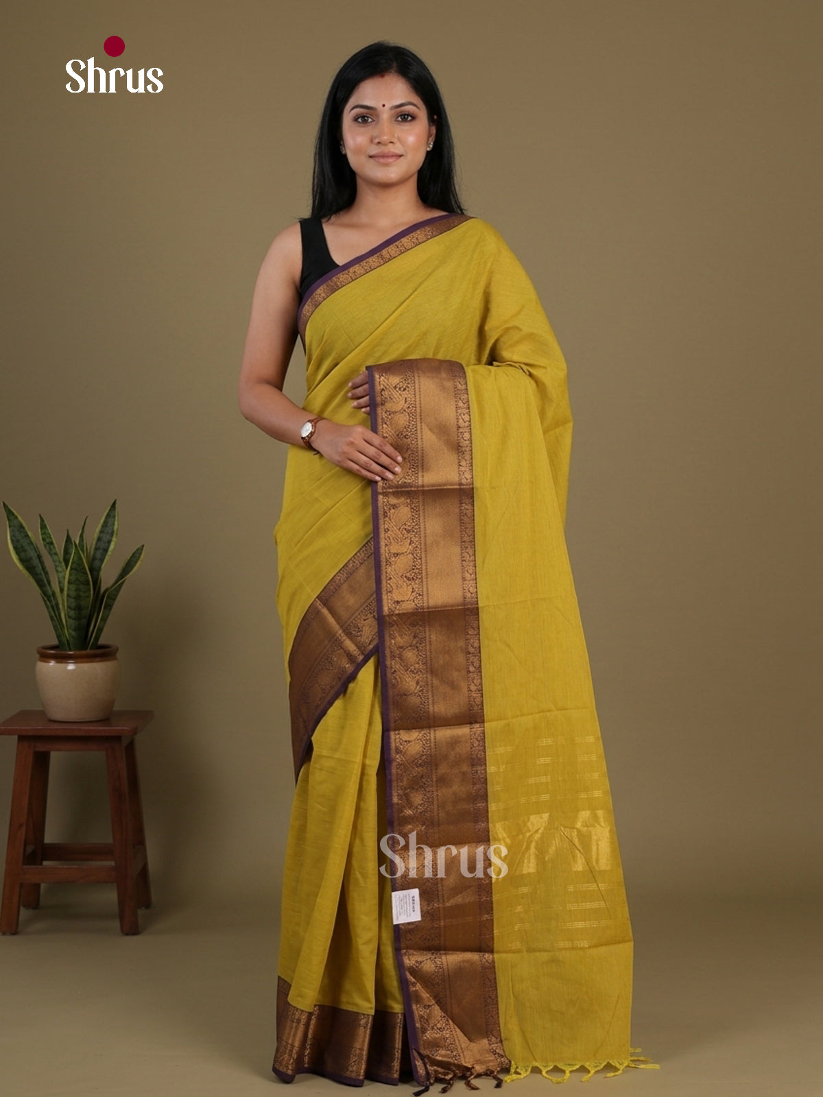 Chettinad Cotton Saree - EFS16071