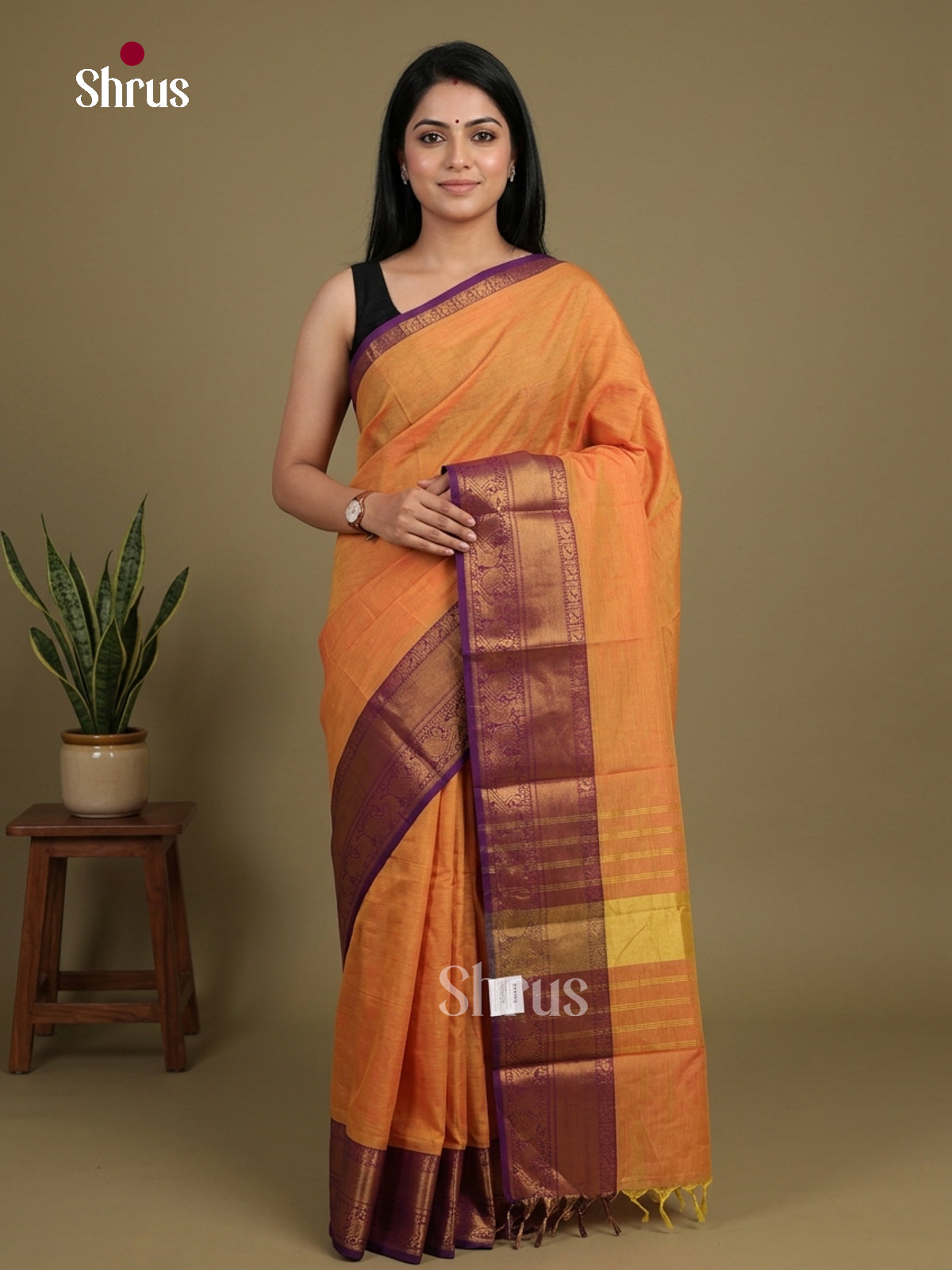 Chettinad Cotton Saree - EFS16074