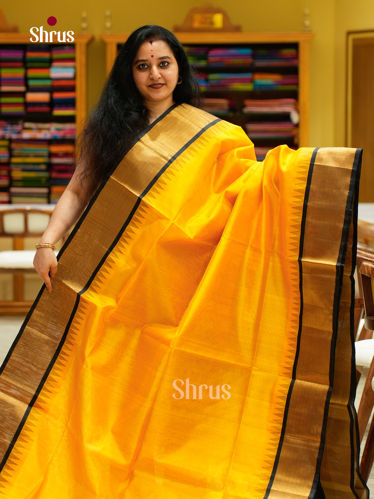 Silk Cotton Saree - EFS16084 - Shop on Shrus.com
