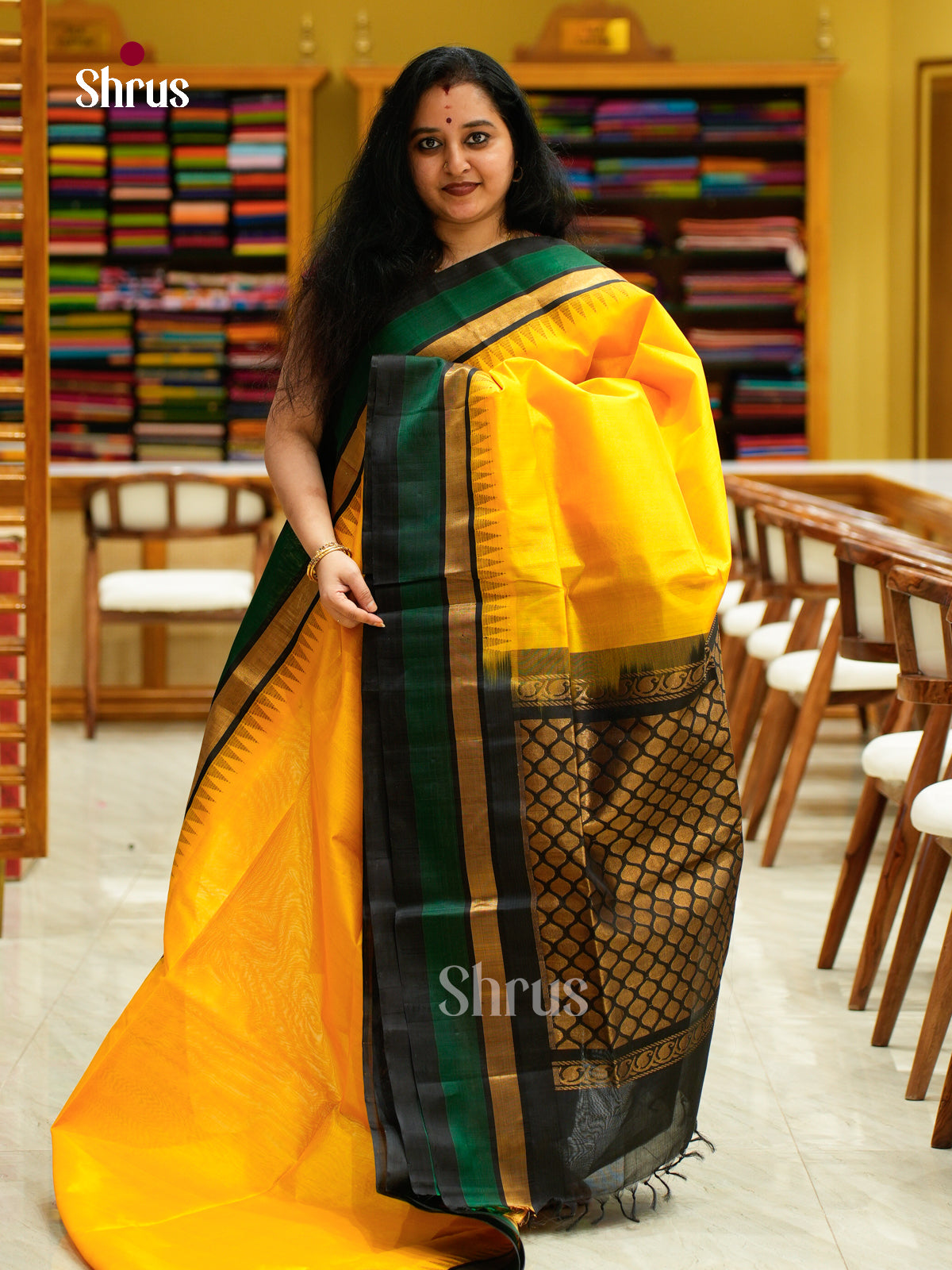 Silk Cotton Saree - EFS16093 - Shop on Shrus.com