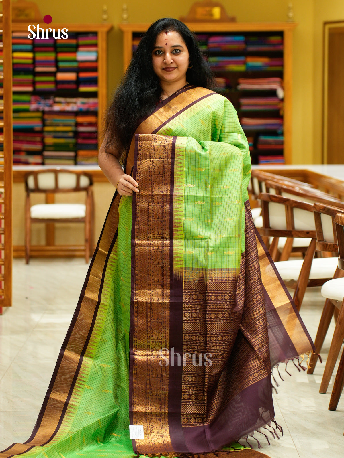 Silk Cotton Saree - EFS16100 - Shop on Shrus.com