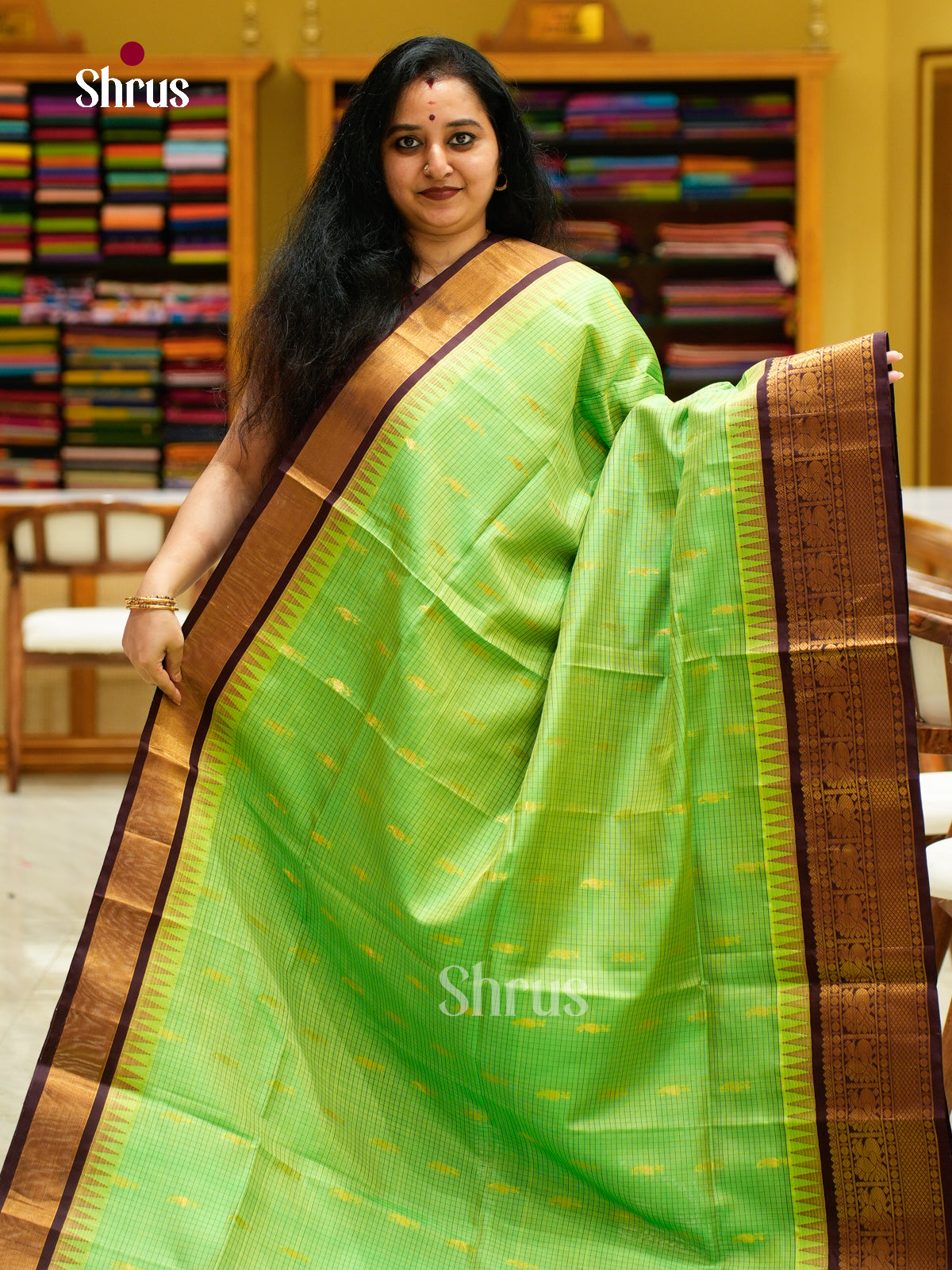 Silk Cotton Saree - EFS16100 - Shop on Shrus.com