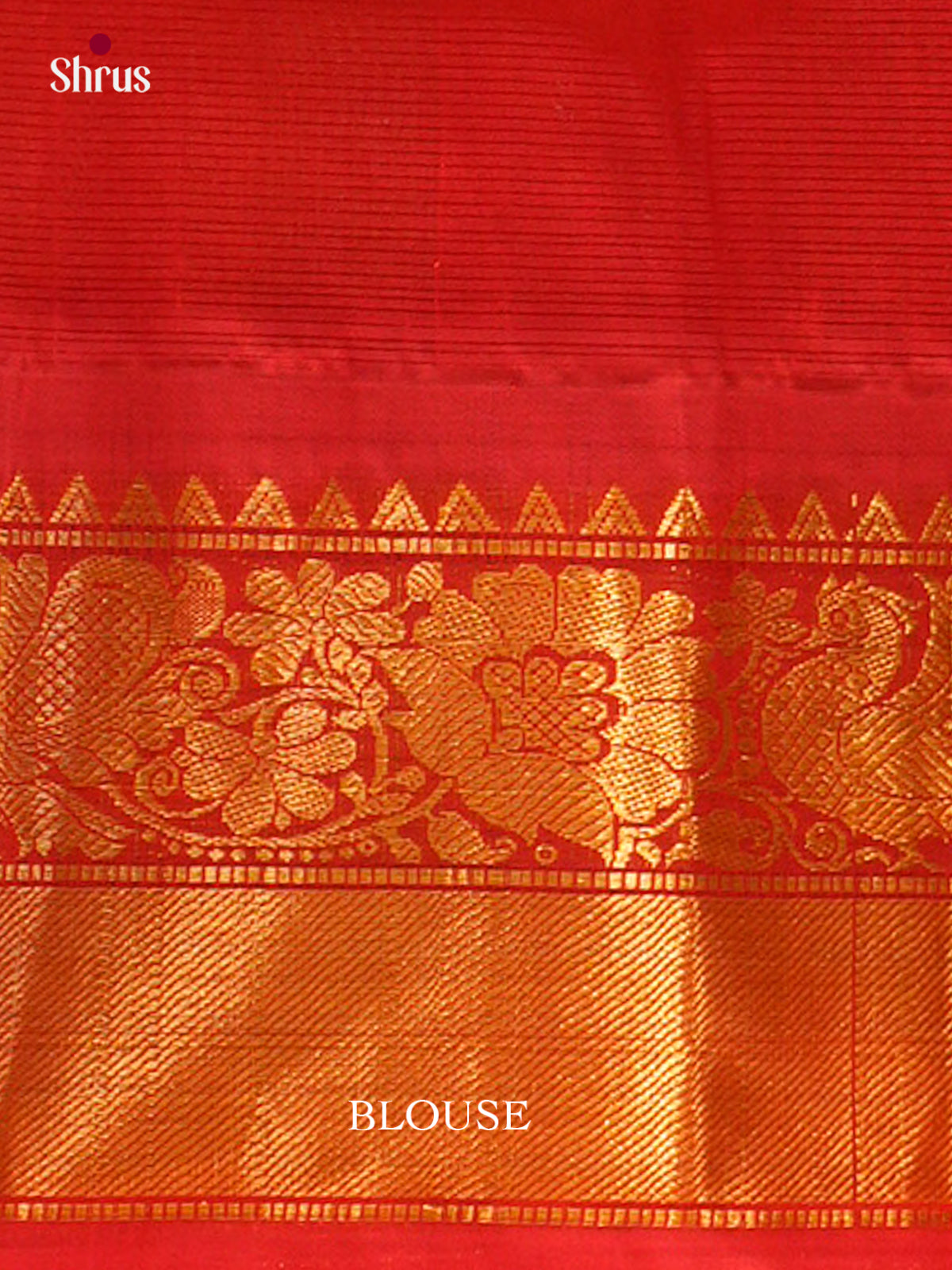 Silk Cotton Saree - EFS16107 - Shop on Shrus.com