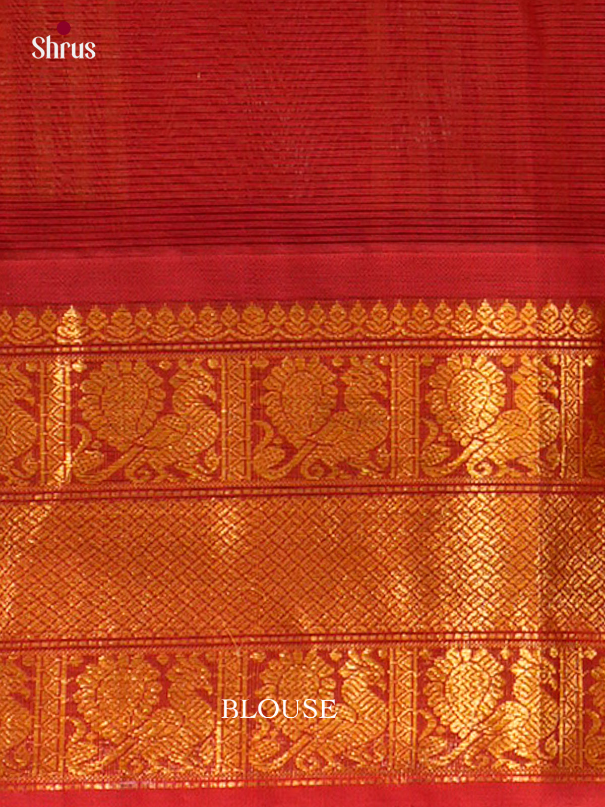 Silk Cotton Saree - EFS16111 - Shop on Shrus.com