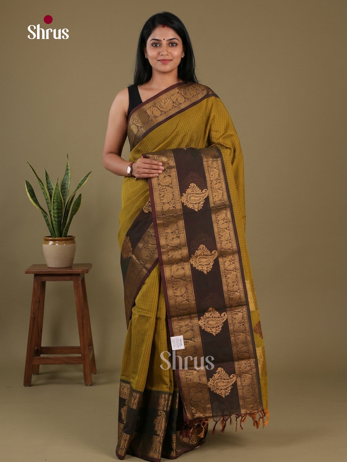 Chettinad Cotton Saree - EFS16137 - Shop on Shrus.com