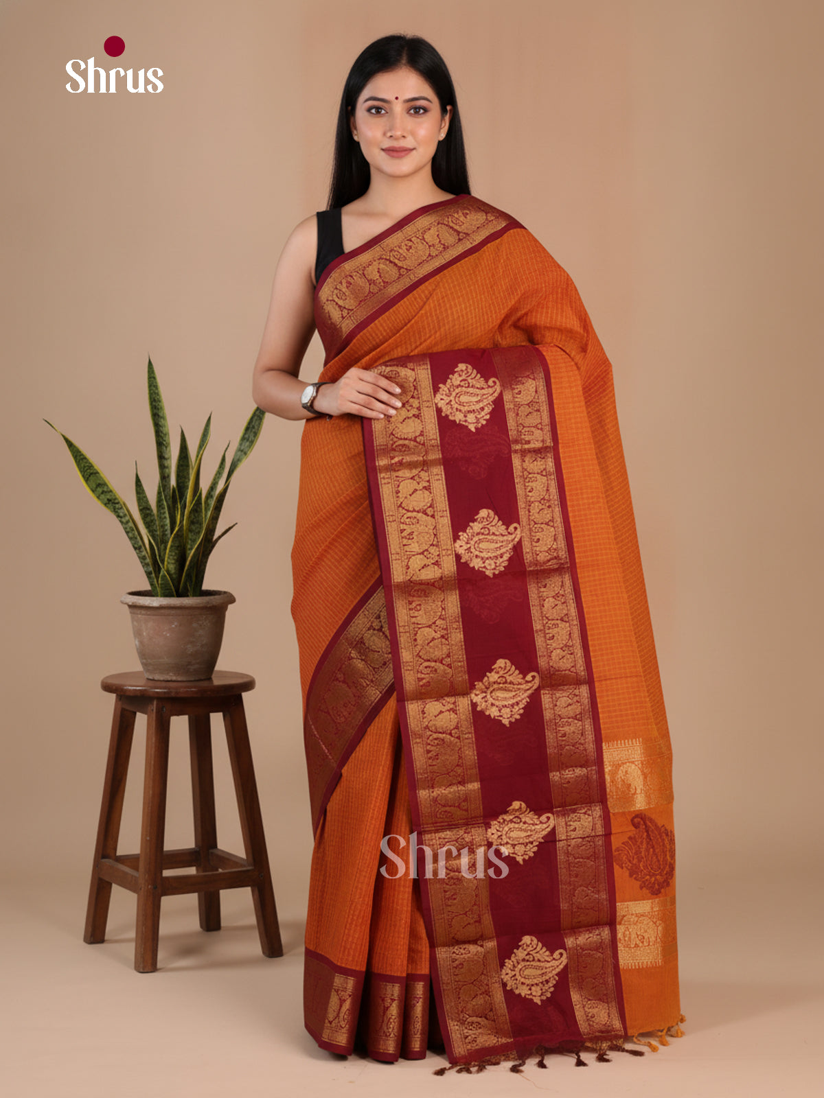 Chettinad Cotton Saree - EFS16138 - Shop on Shrus.com
