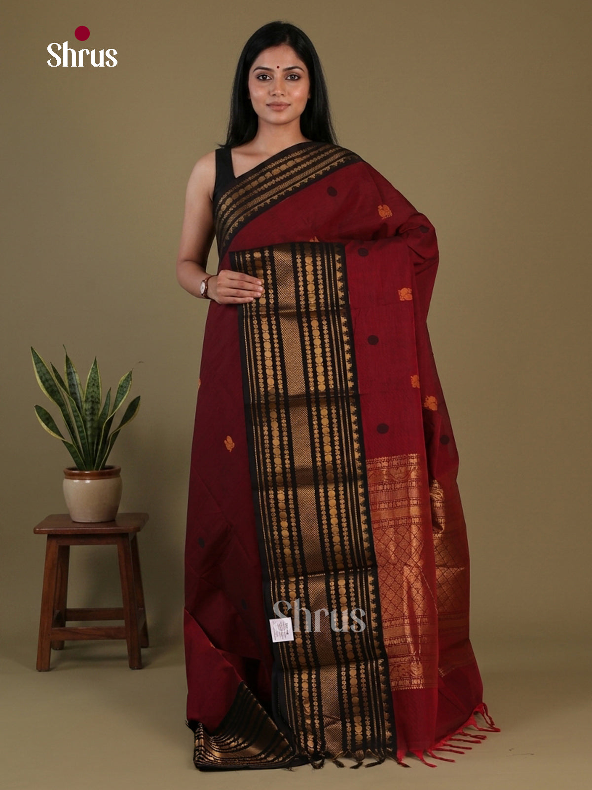Chettinad Cotton Saree - EFS17007