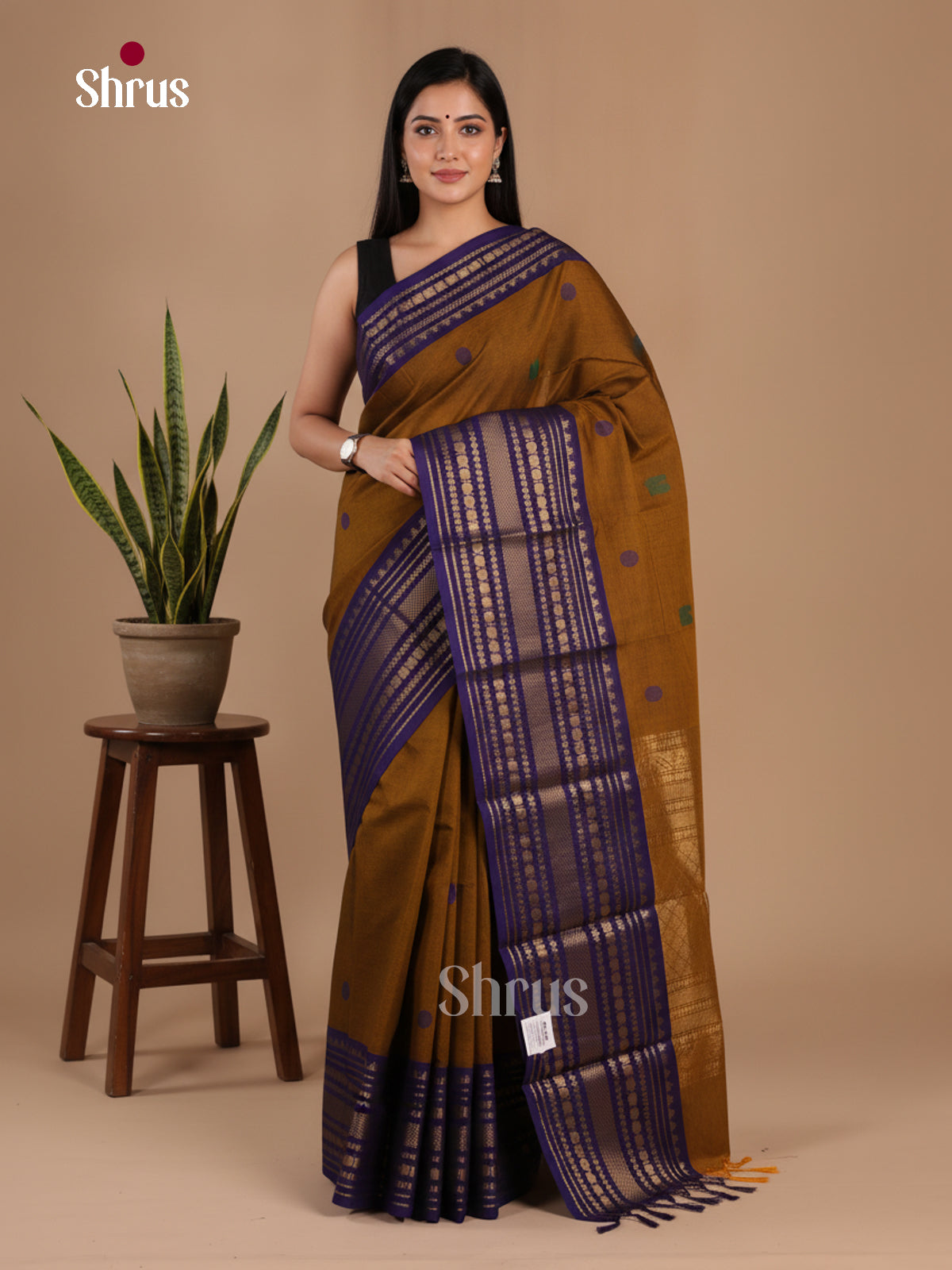 Chettinad Cotton Saree - EFS17009