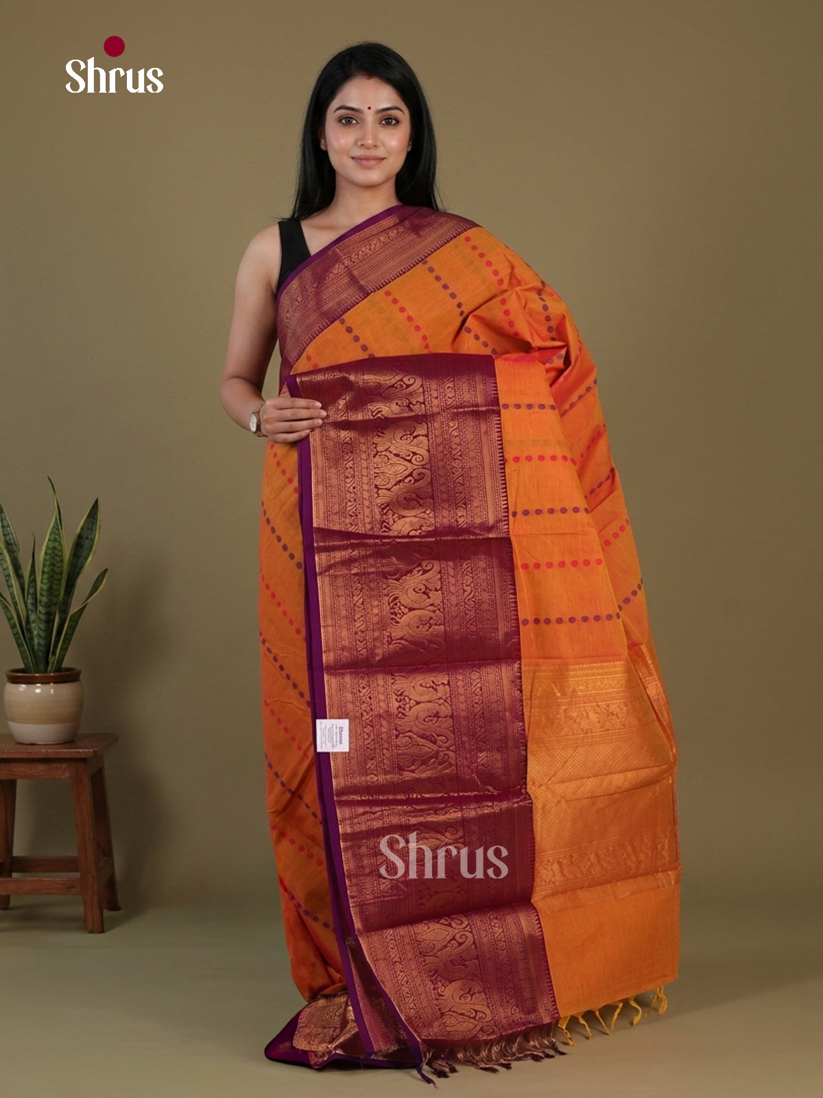 Chettinad Cotton Saree - EFS17048