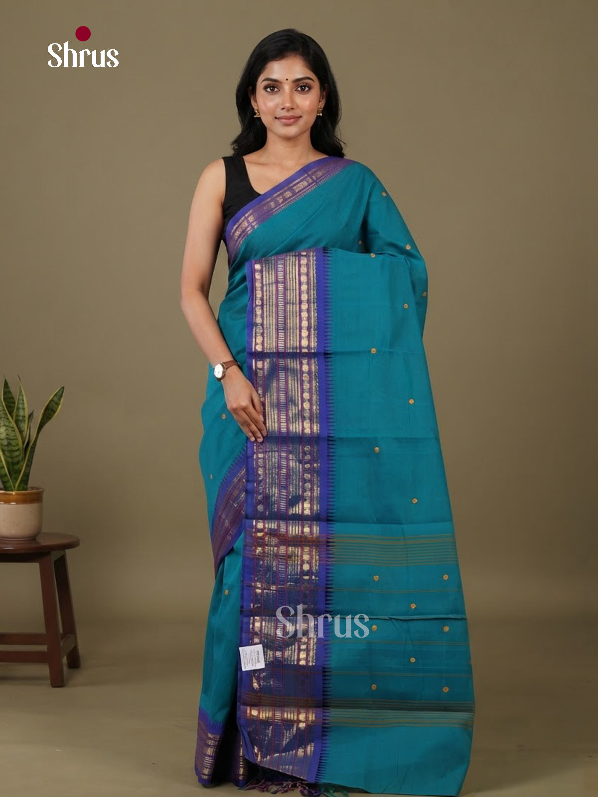 Chettinad Cotton Saree - EFS19017 - Shop on Shrus.com