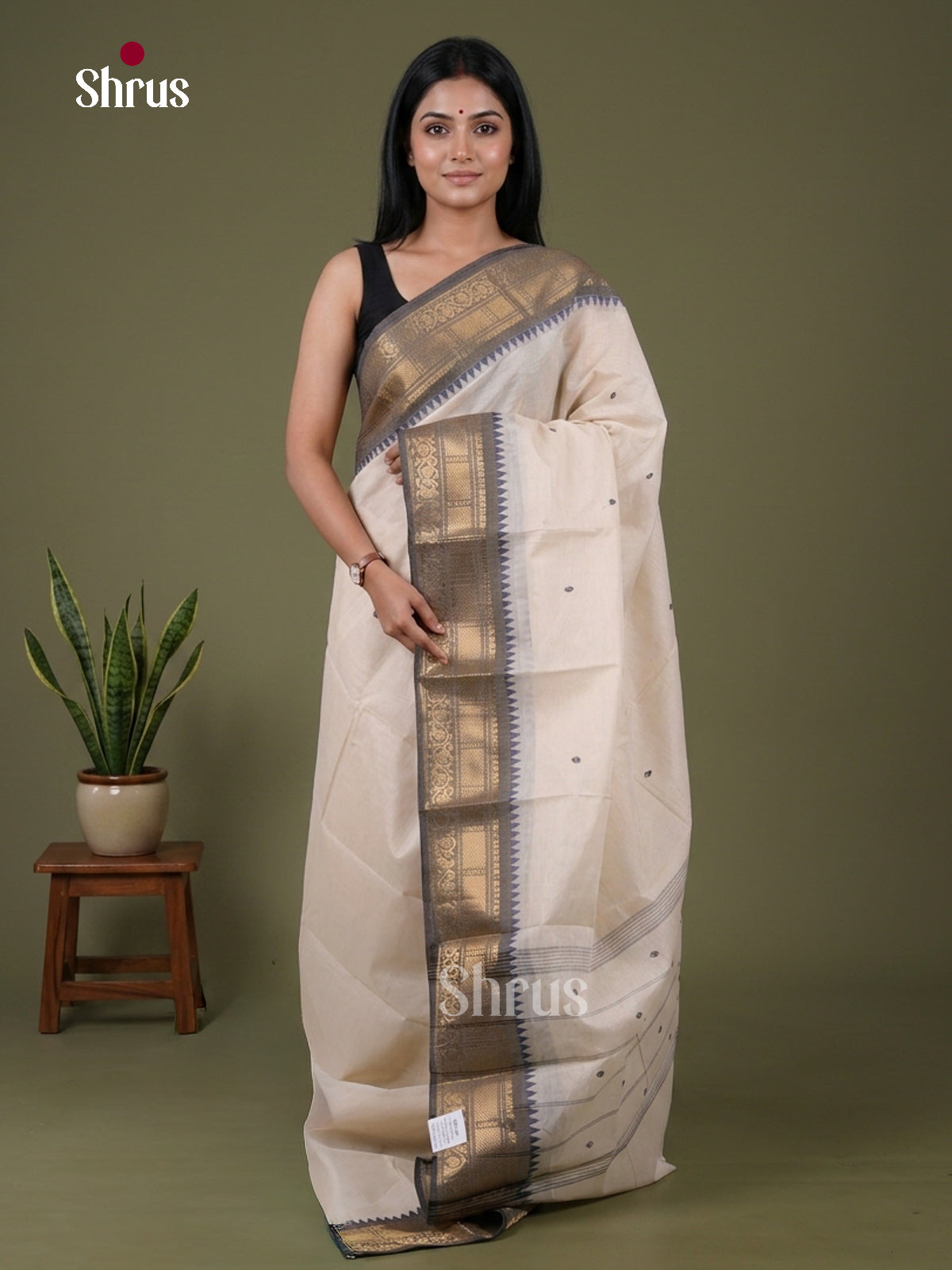 Chettinad Cotton Saree - EFS19020