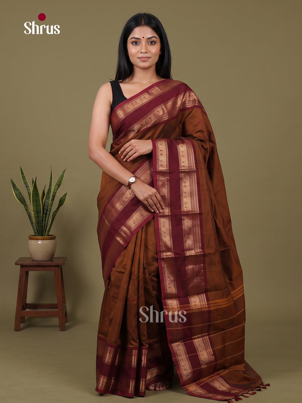Chettinad Cotton Saree - EFS19031
