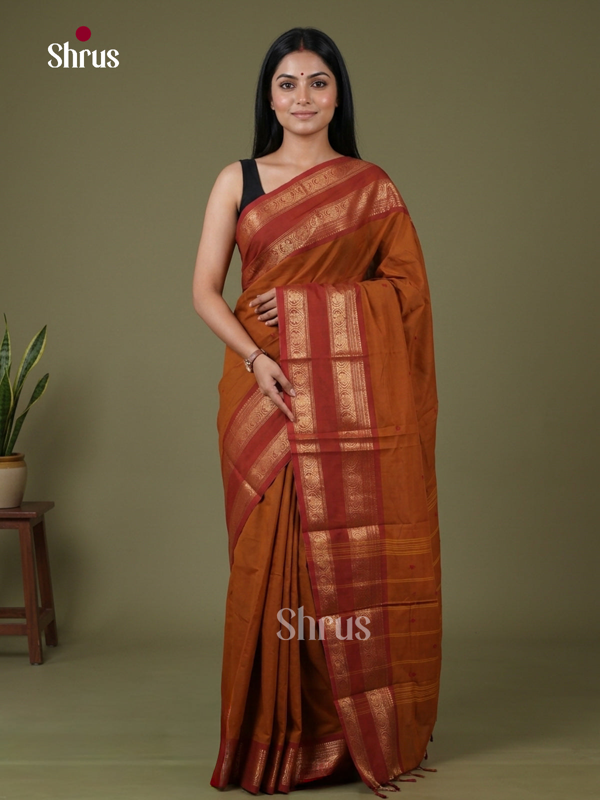 Chettinad Cotton Saree - EFS19037