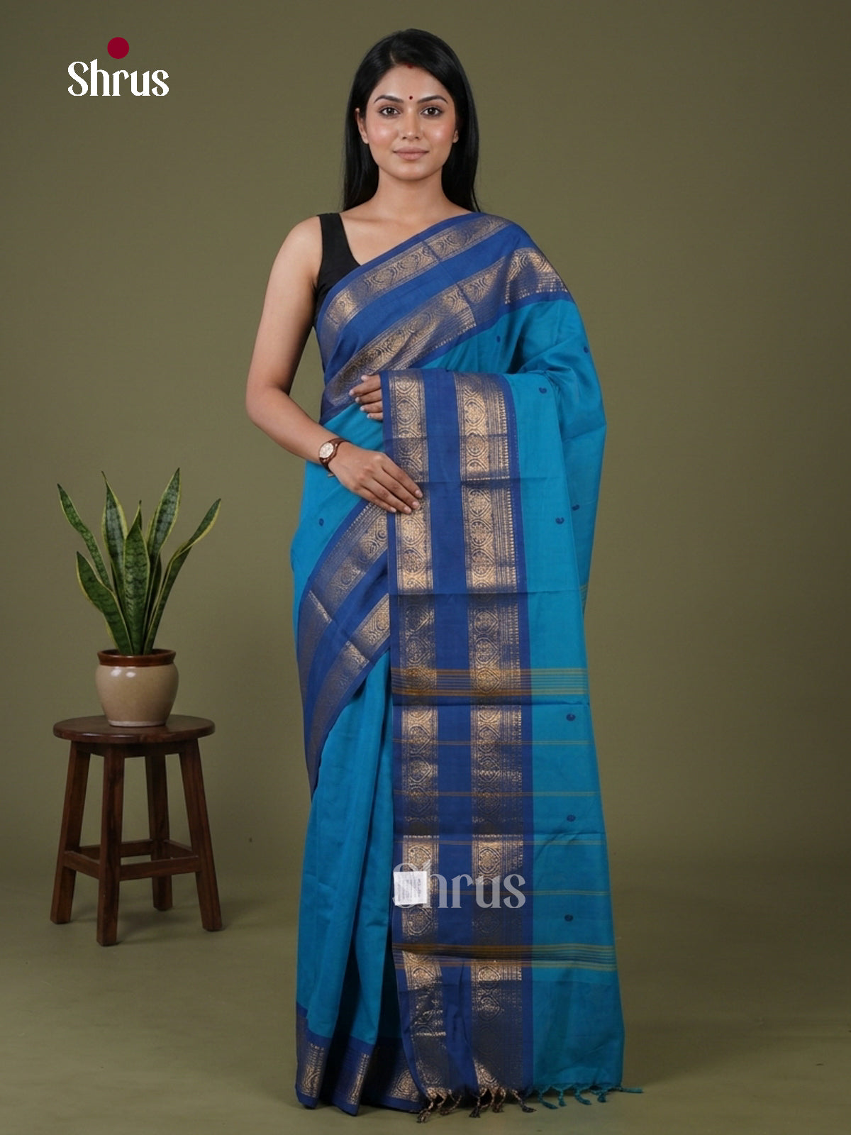 Chettinad Cotton Saree - EFS19038