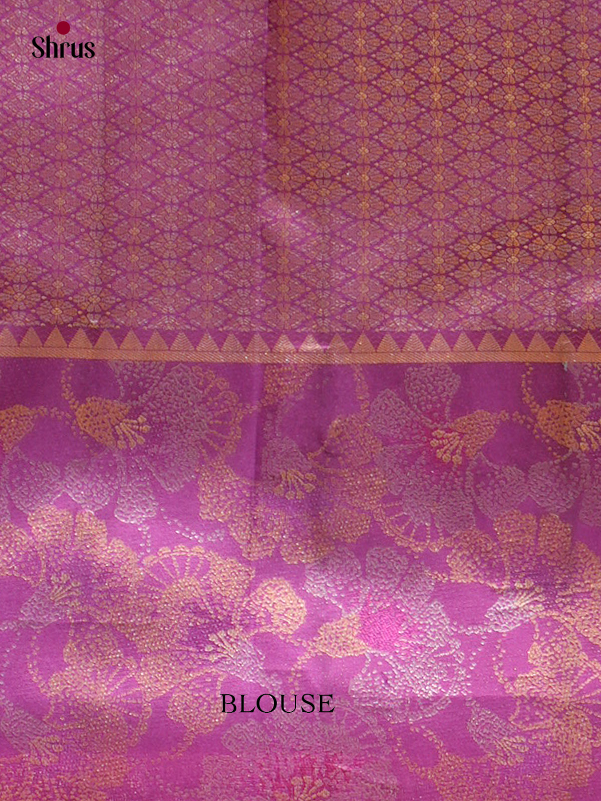 Kanchipuram silk Saree - EFS20009 - Shop on Shrus.com