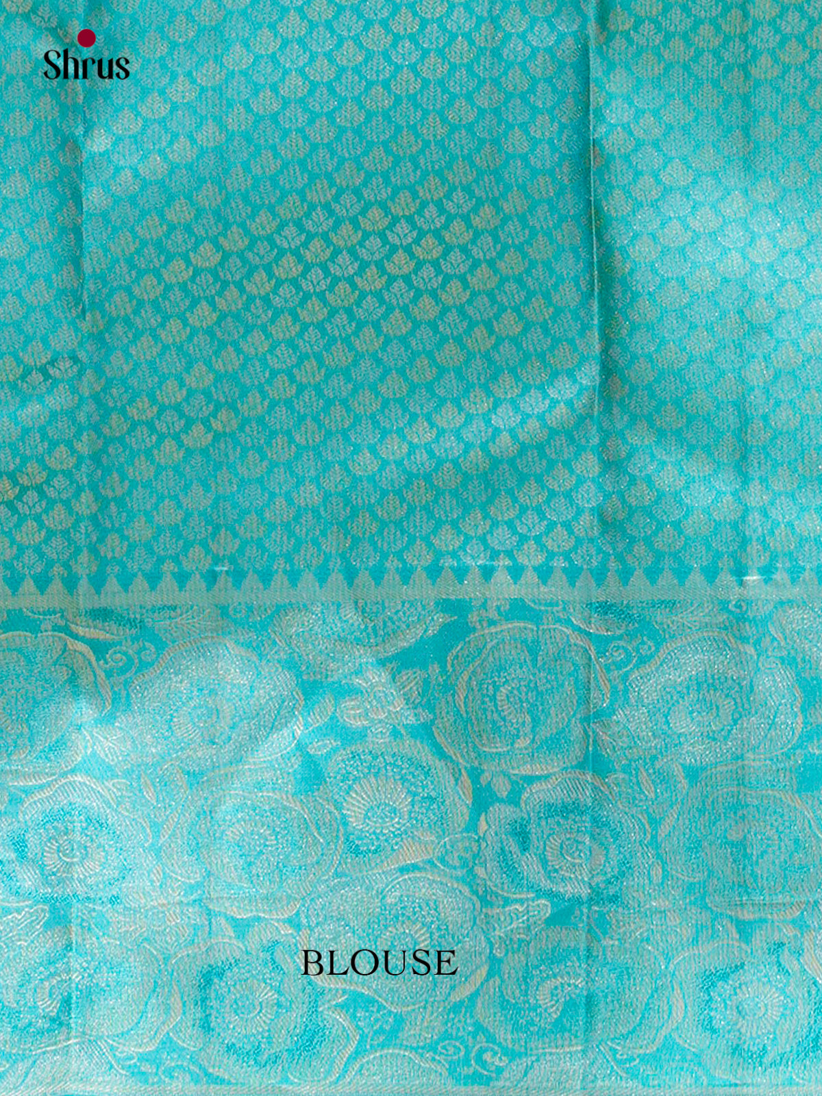 Kanchipuram silk Saree - EFS20013
