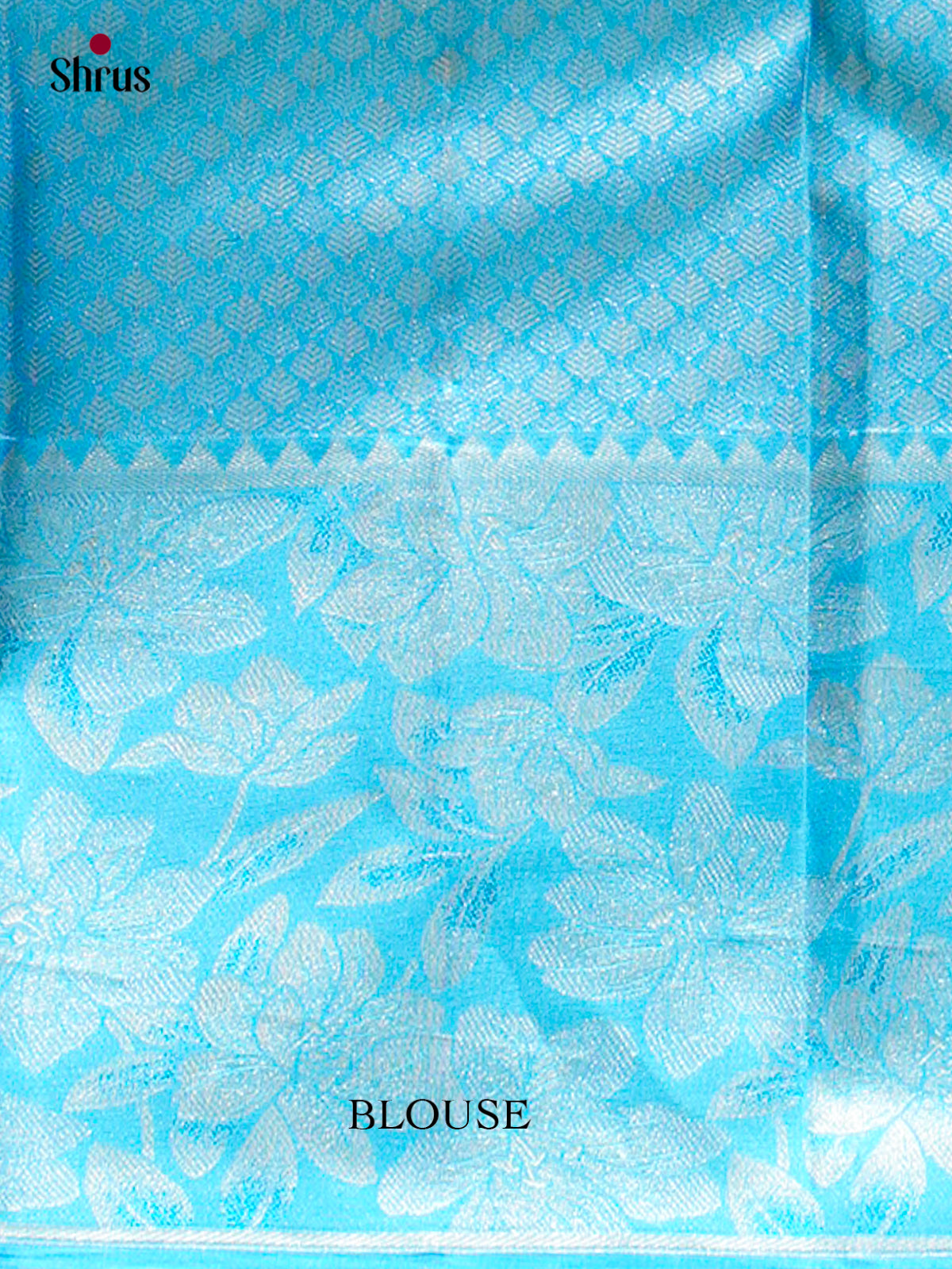 Kanchipuram silk Saree - EFS20017