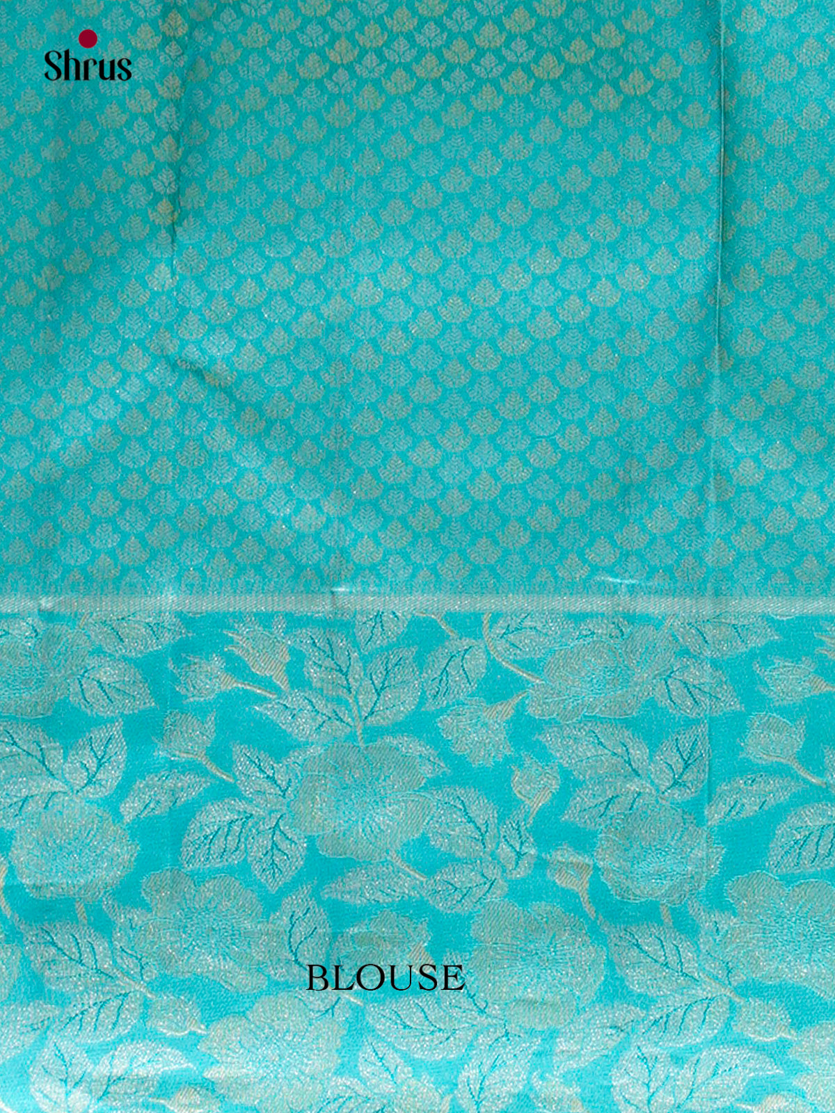 Kanchipuram silk Saree - EFS20020