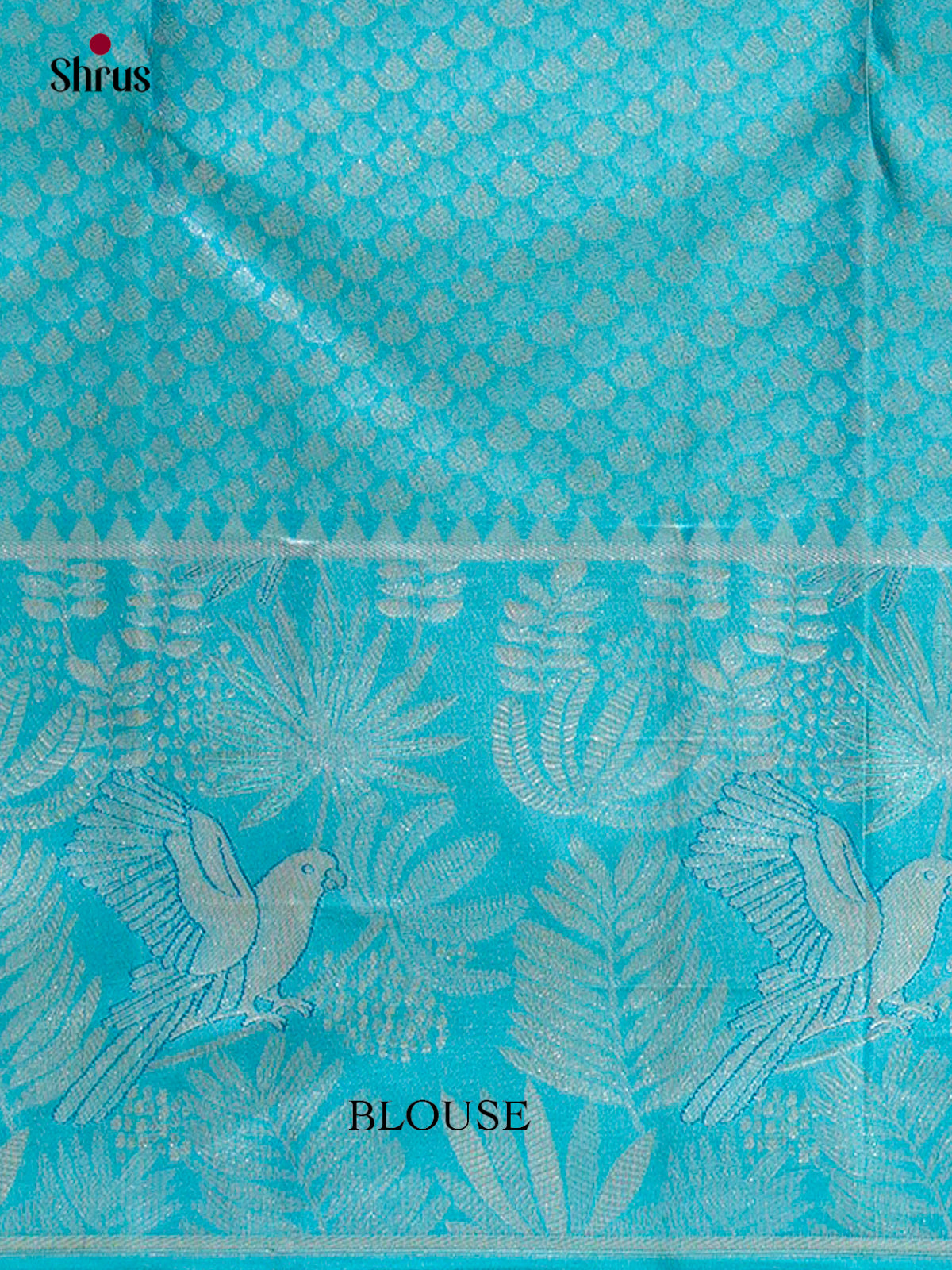 Kanchipuram silk Saree - EFS20025 - Shop on Shrus.com