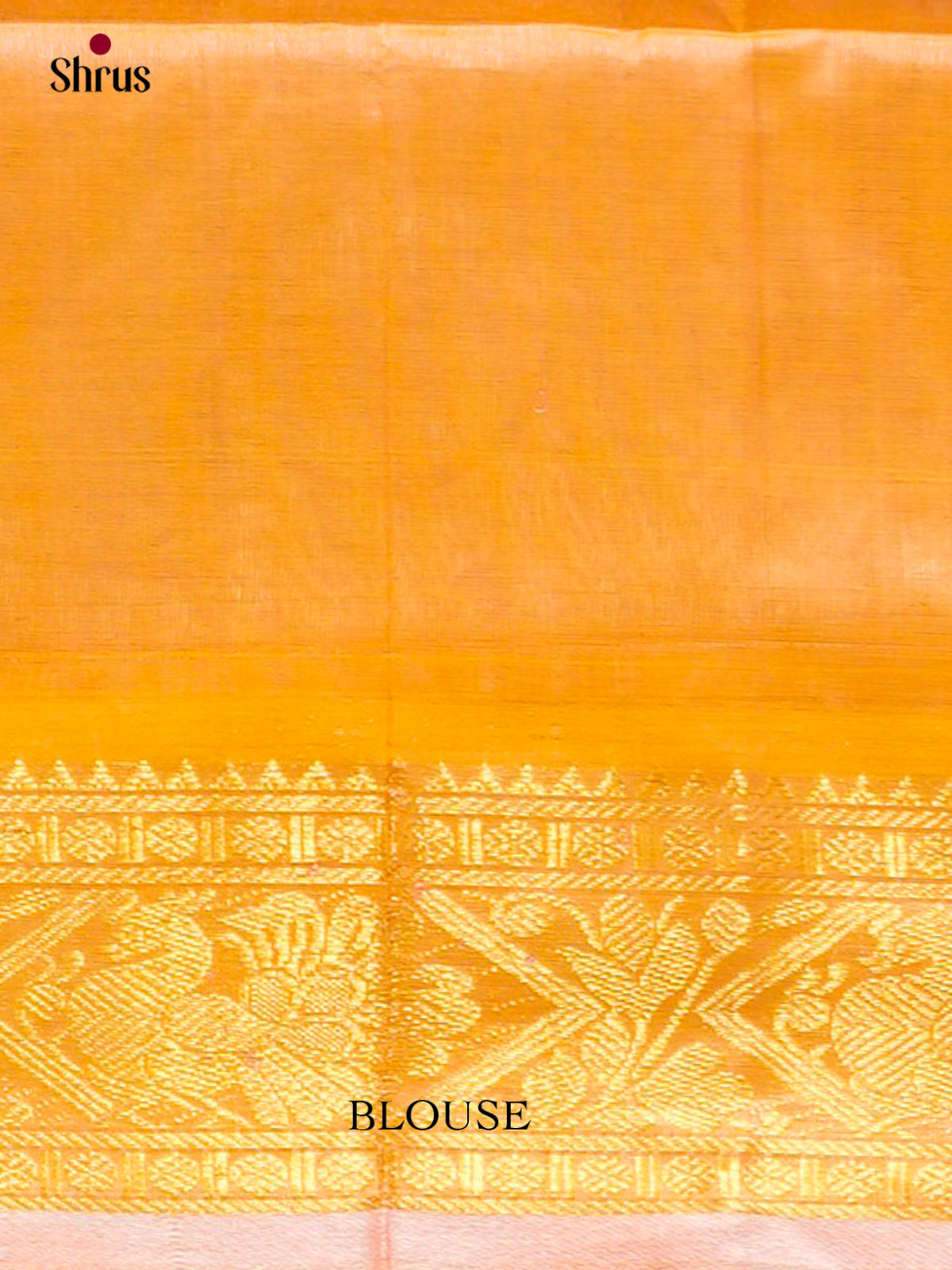 Silk Cotton Saree - EFS20058 - Shop on Shrus.com