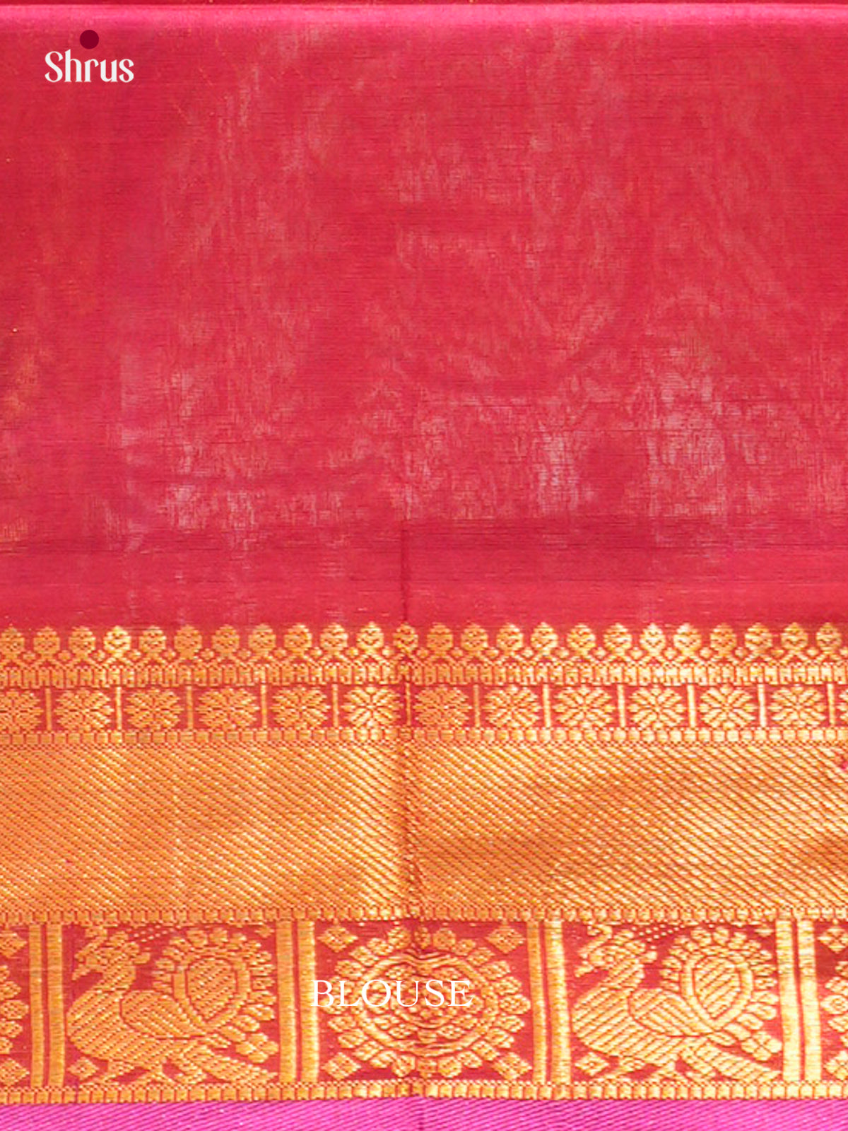 Silk Cotton Saree - EFS20068