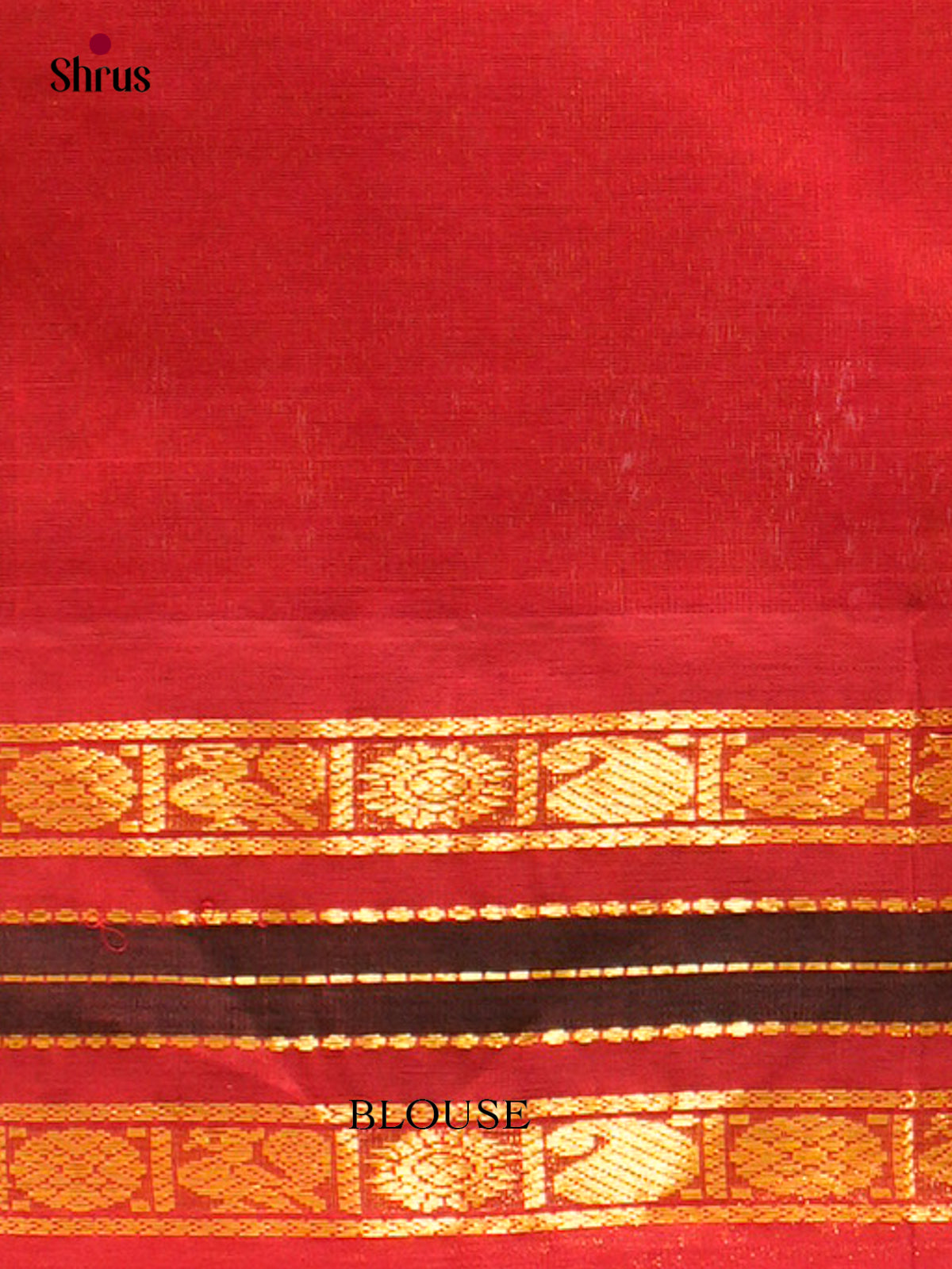 Silk Cotton Saree - EFS20093