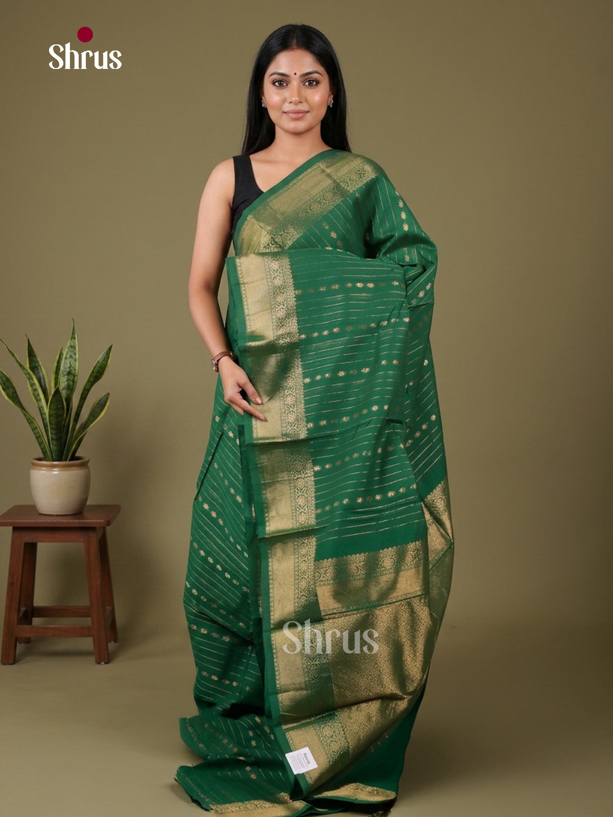 Chettinad Cotton Saree - EFS22054