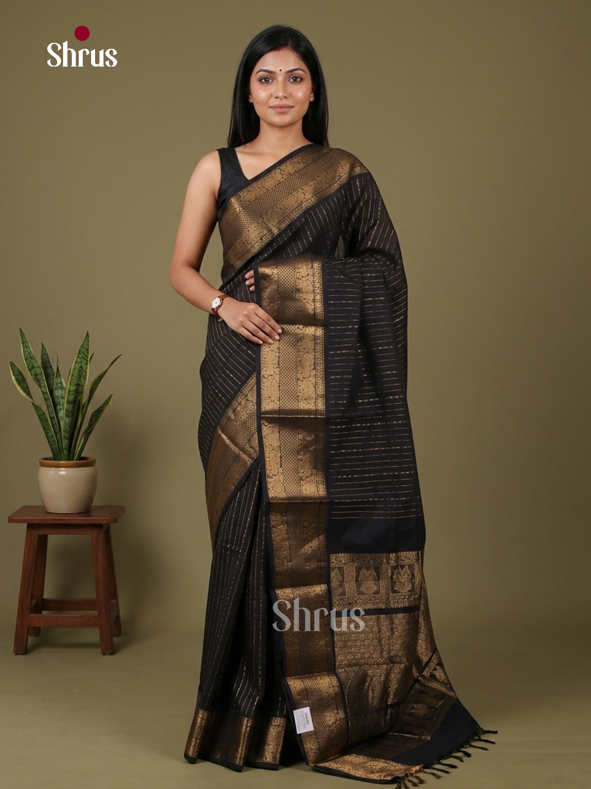Chettinad Cotton Saree - EFS22064