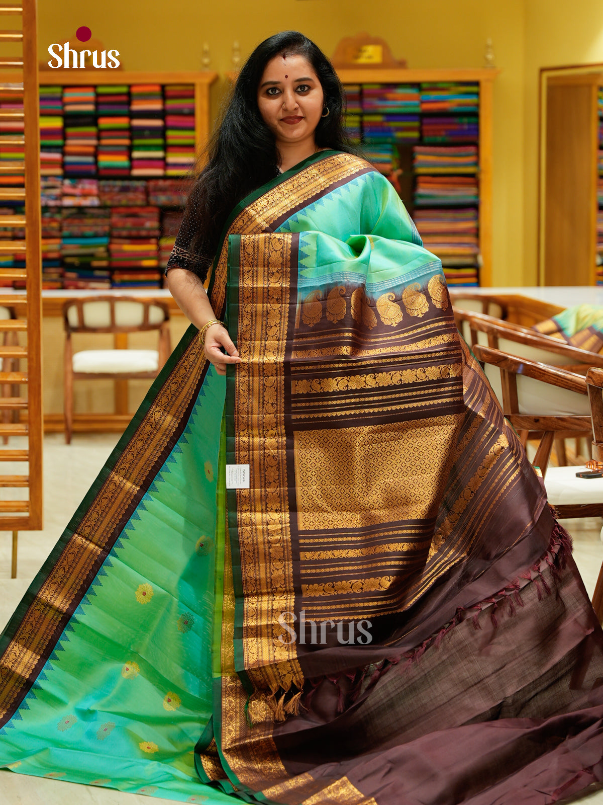 Gadwal silk Saree - EFS23295