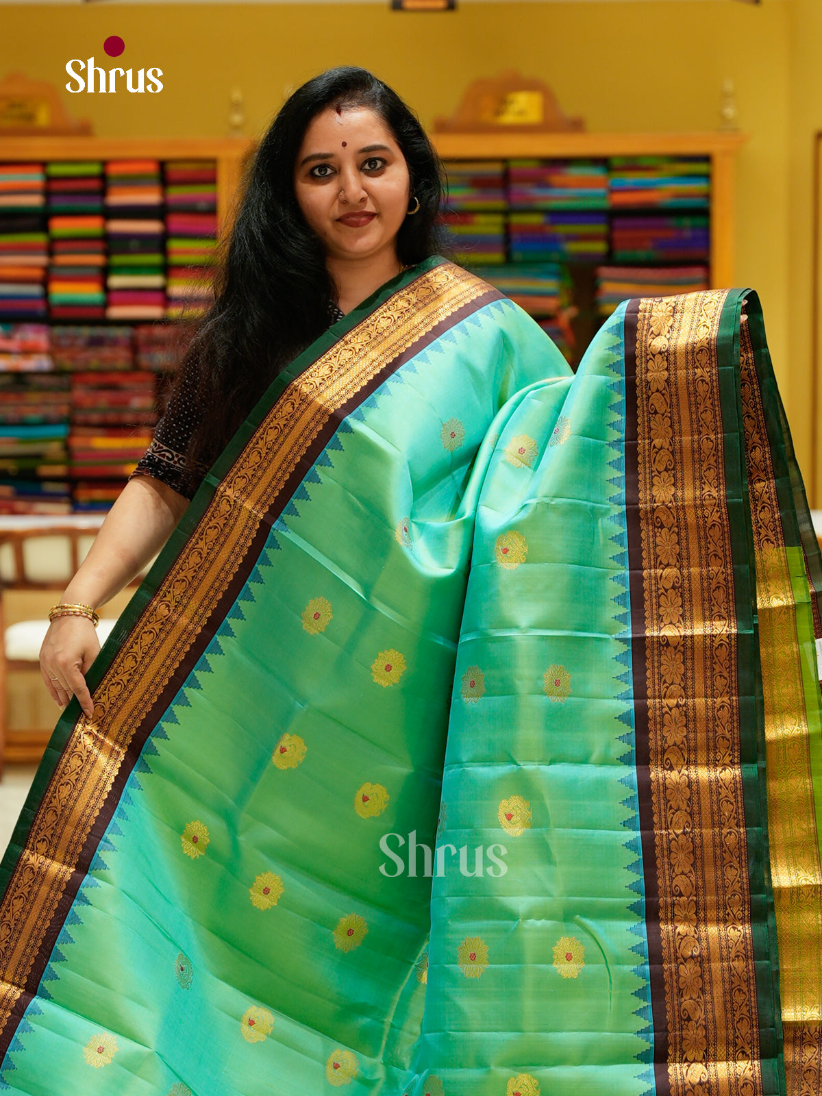 Gadwal silk Saree - EFS23295