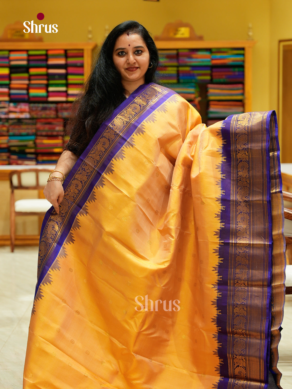 Gadwal silk Saree - EFS23300