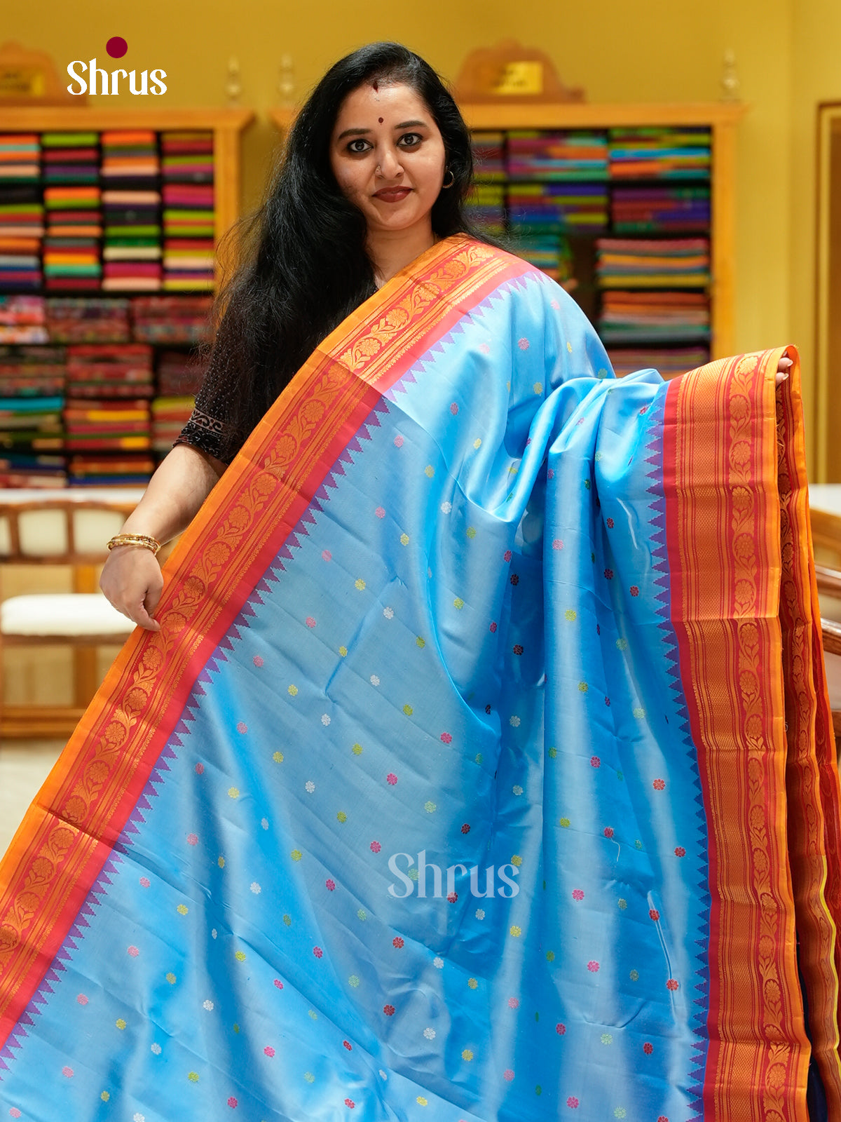 Gadwal silk Saree - EFS23309