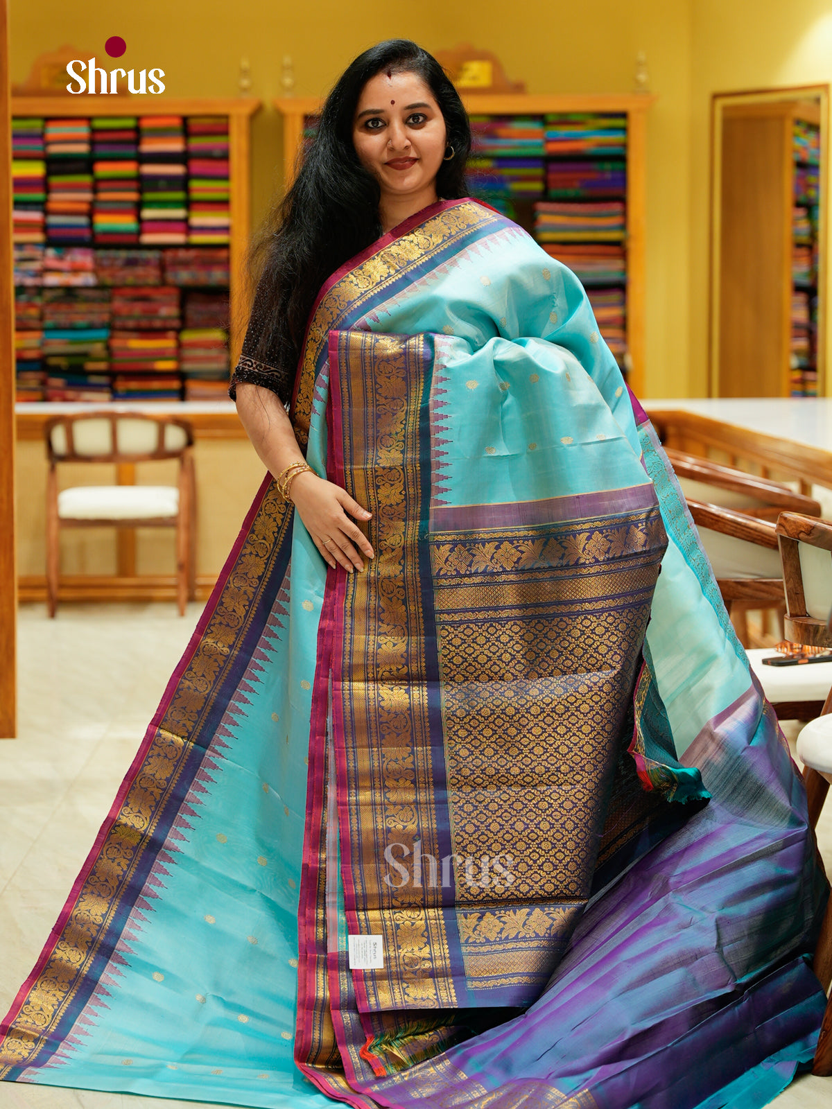 Gadwal silk Saree - EFS23311