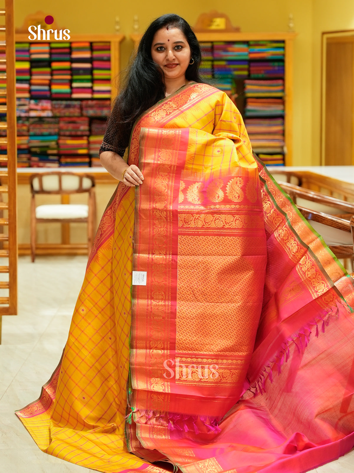 Gadwal silk Saree - EFS23314