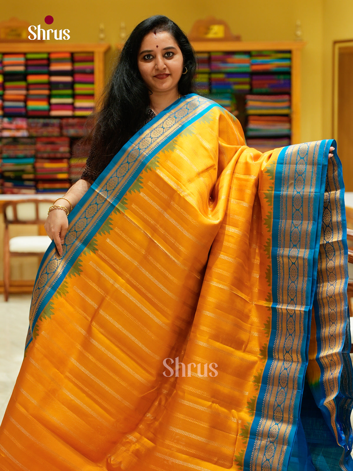 Gadwal silk Saree - EFS23327