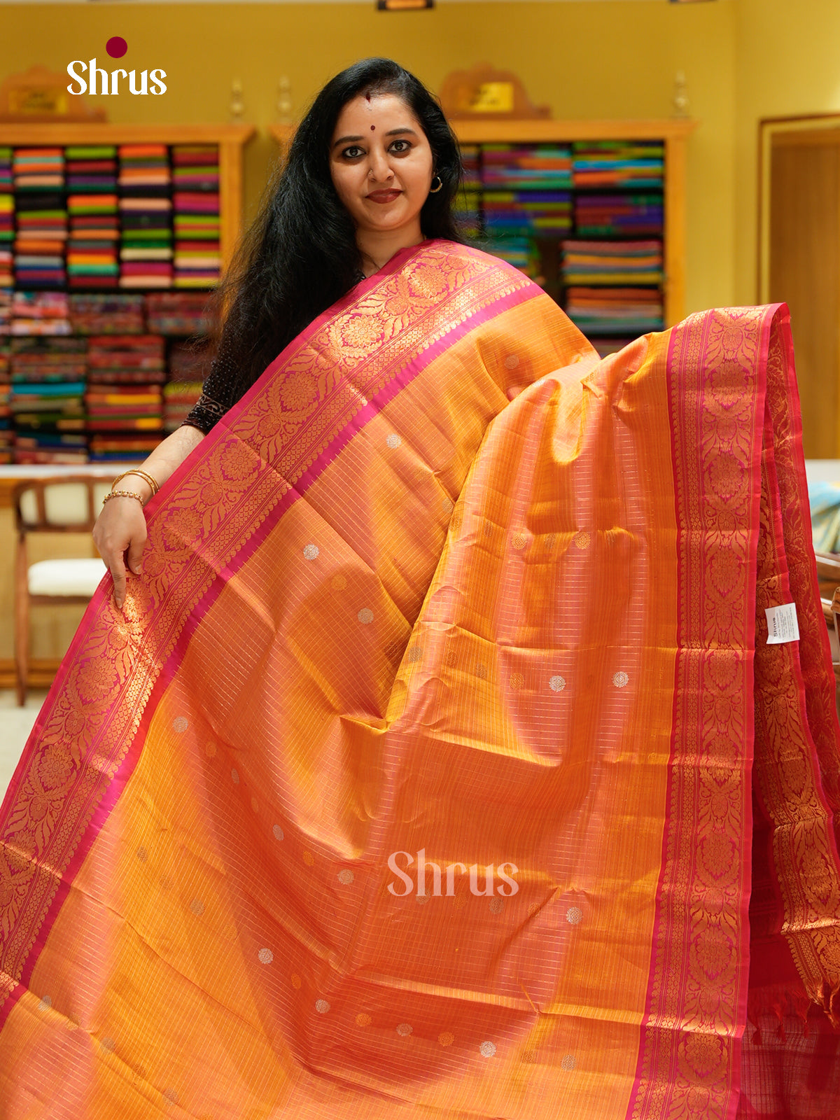 Gadwal silk Saree - EFS23328