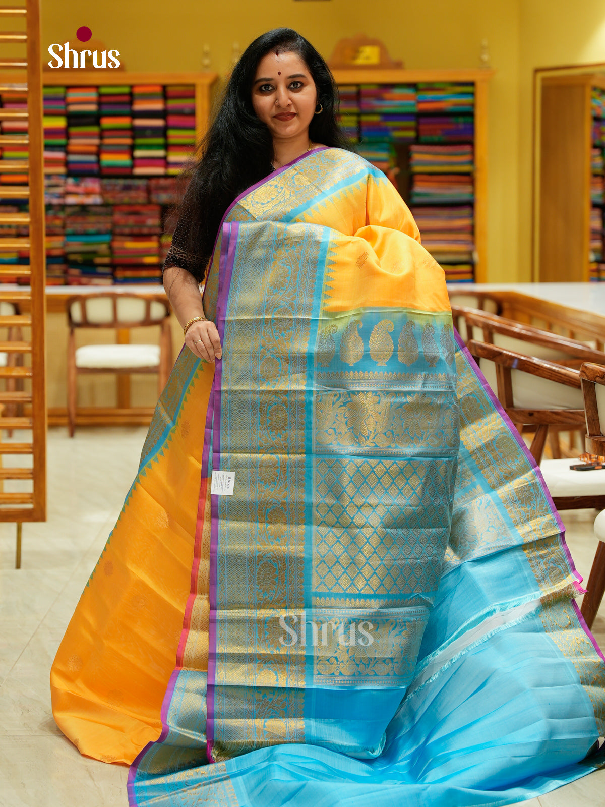 Gadwal silk Saree - EFS23331