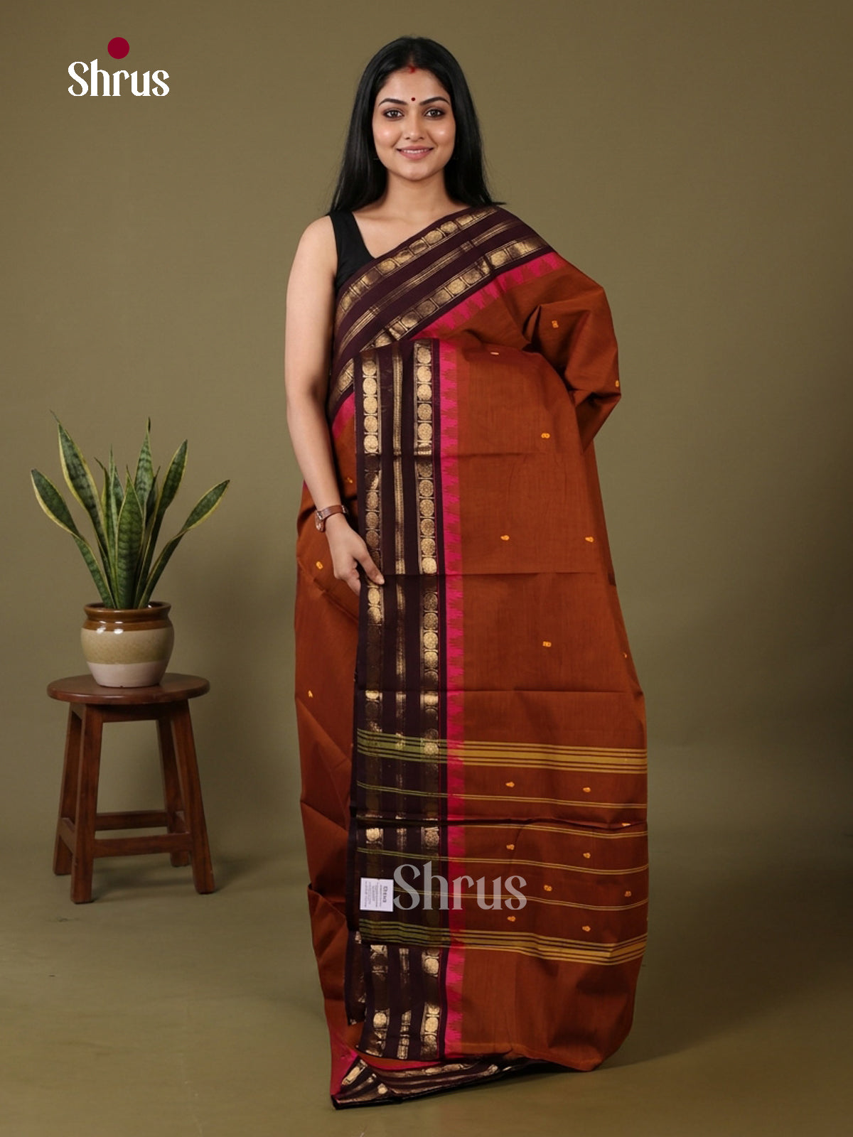 Chettinad Cotton Saree - EFS24016