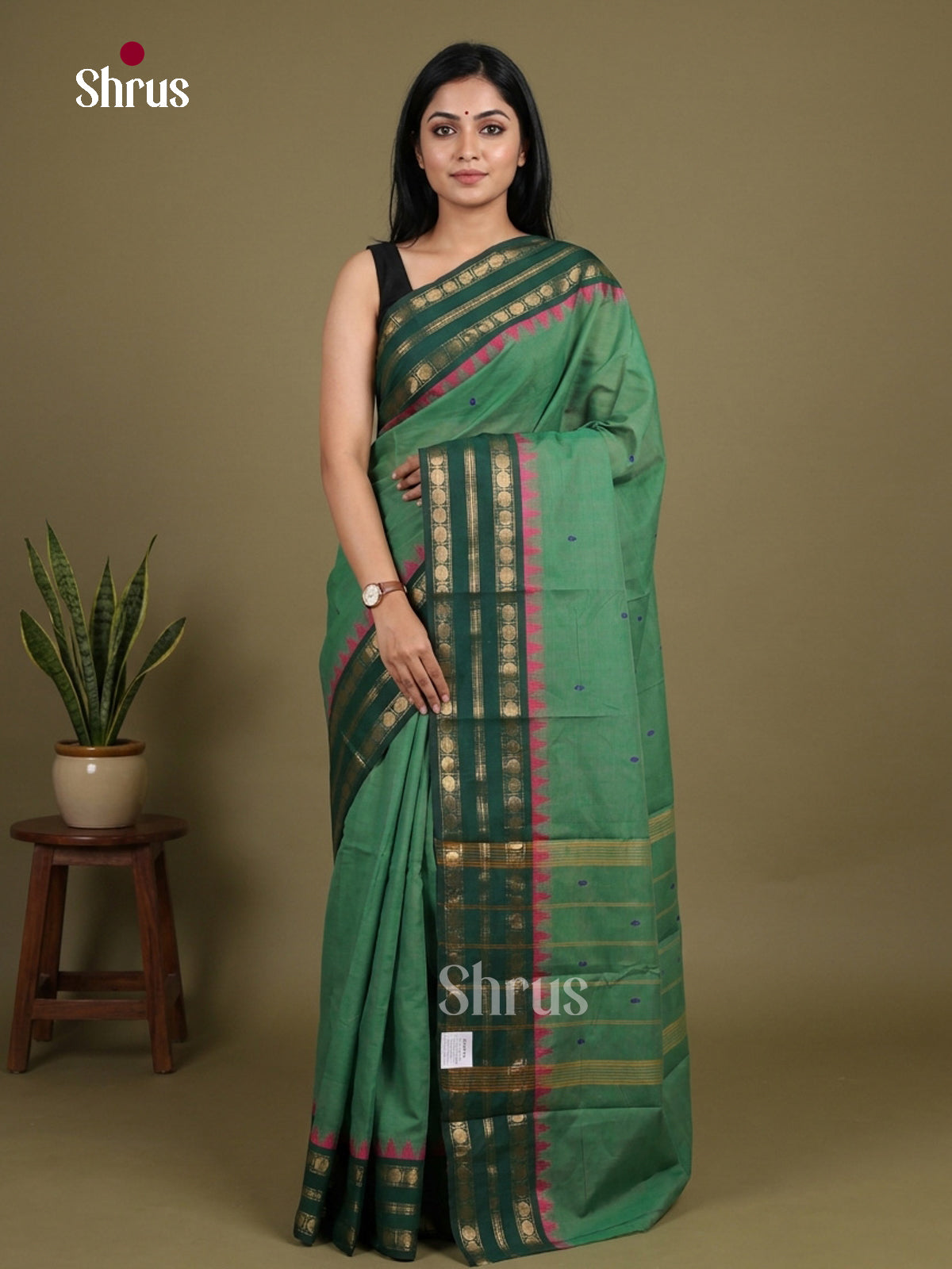 Chettinad Cotton Saree - EFS24022
