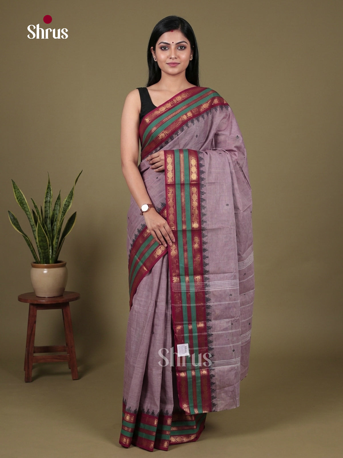Chettinad Cotton Saree - EFS24024