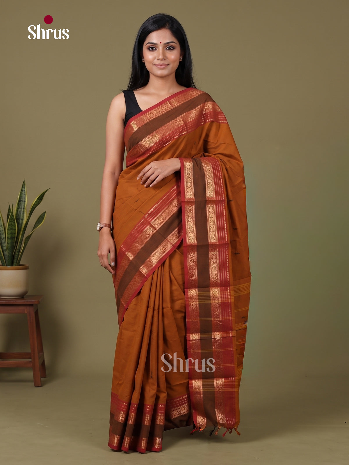 Chettinad Cotton Saree - EFS24027 - Shop on Shrus.com