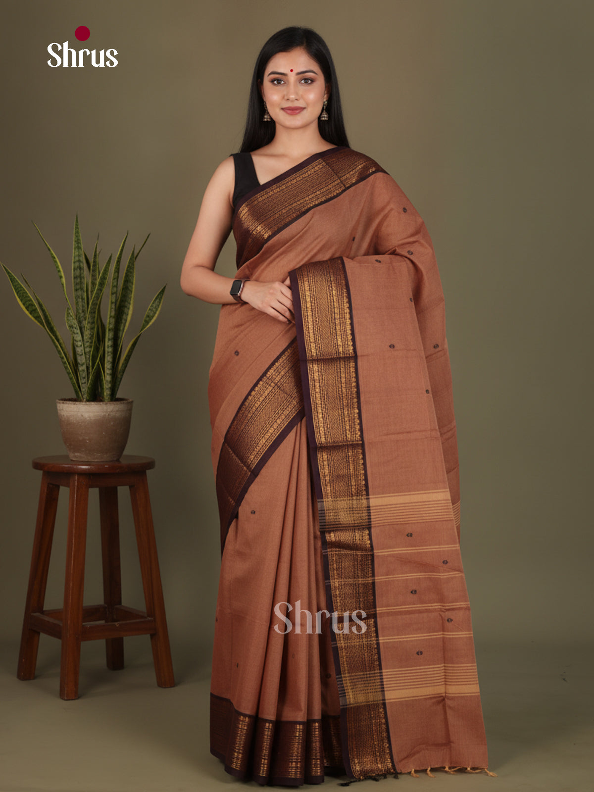 Chettinad Cotton Saree - EFS24035 - Shop on Shrus.com