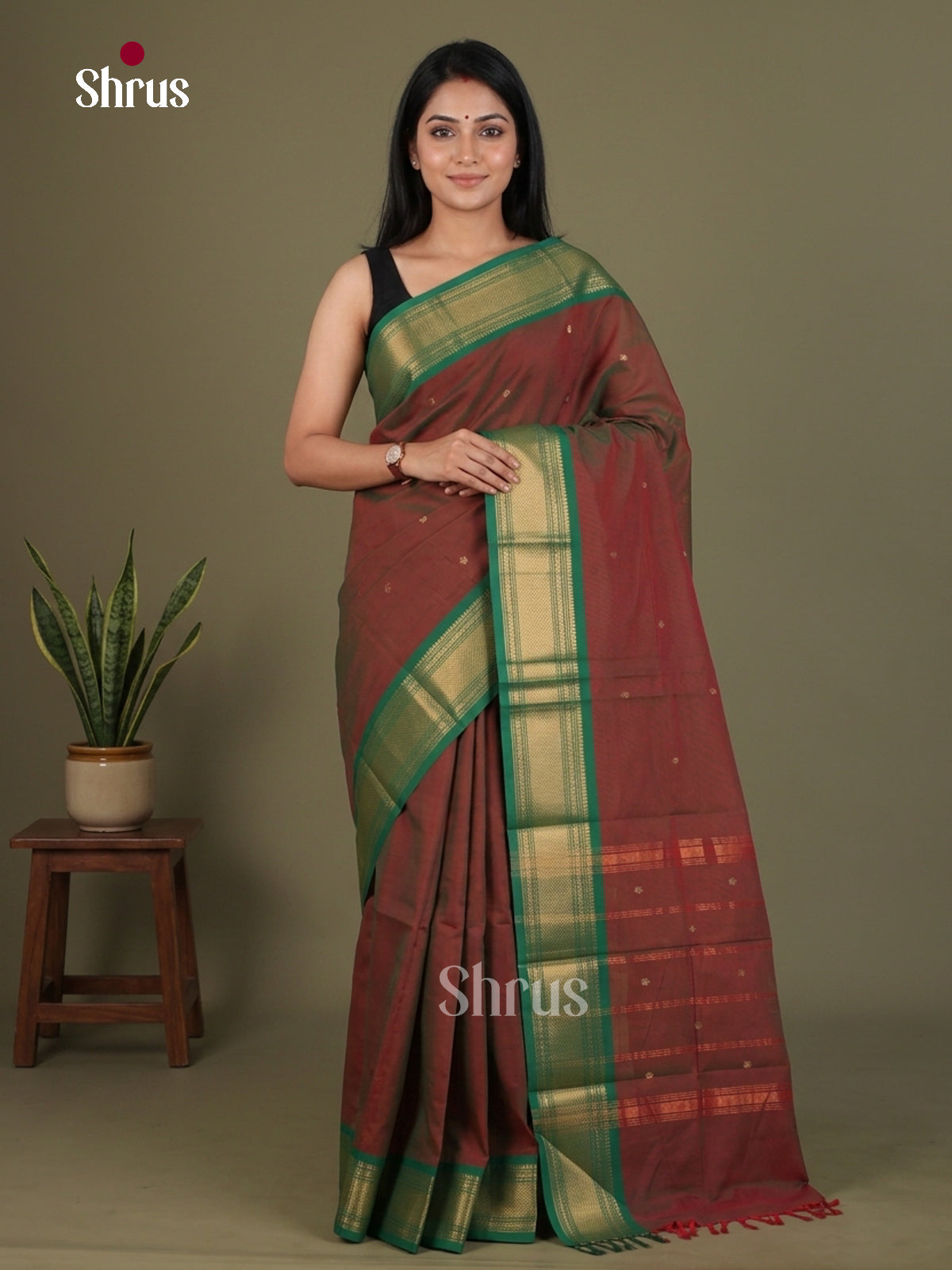 Chettinad Cotton Saree - EFS24048 - Shop on Shrus.com