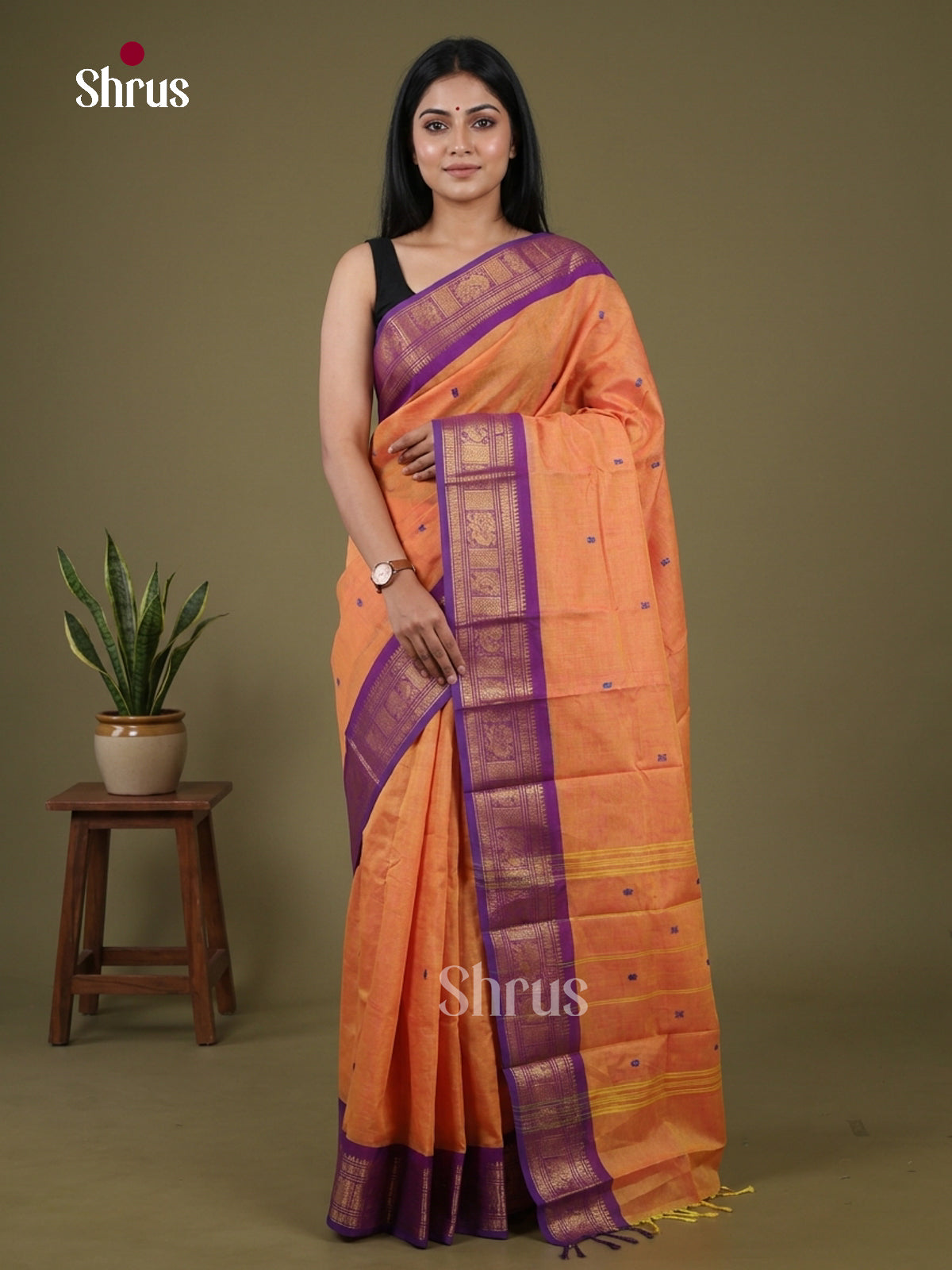 Chettinad Cotton Saree - EFS26011