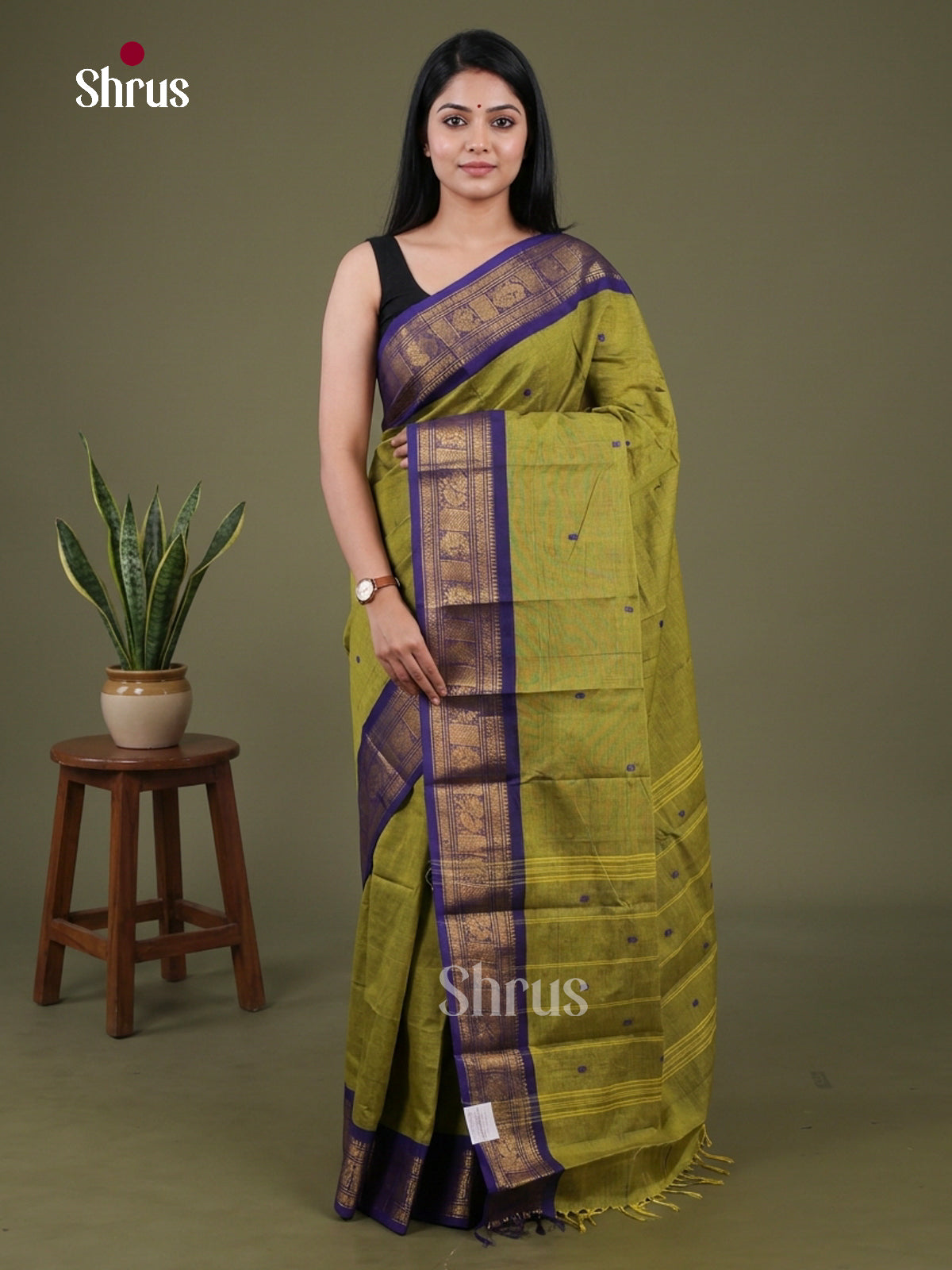 Chettinad Cotton Saree - EFS26013