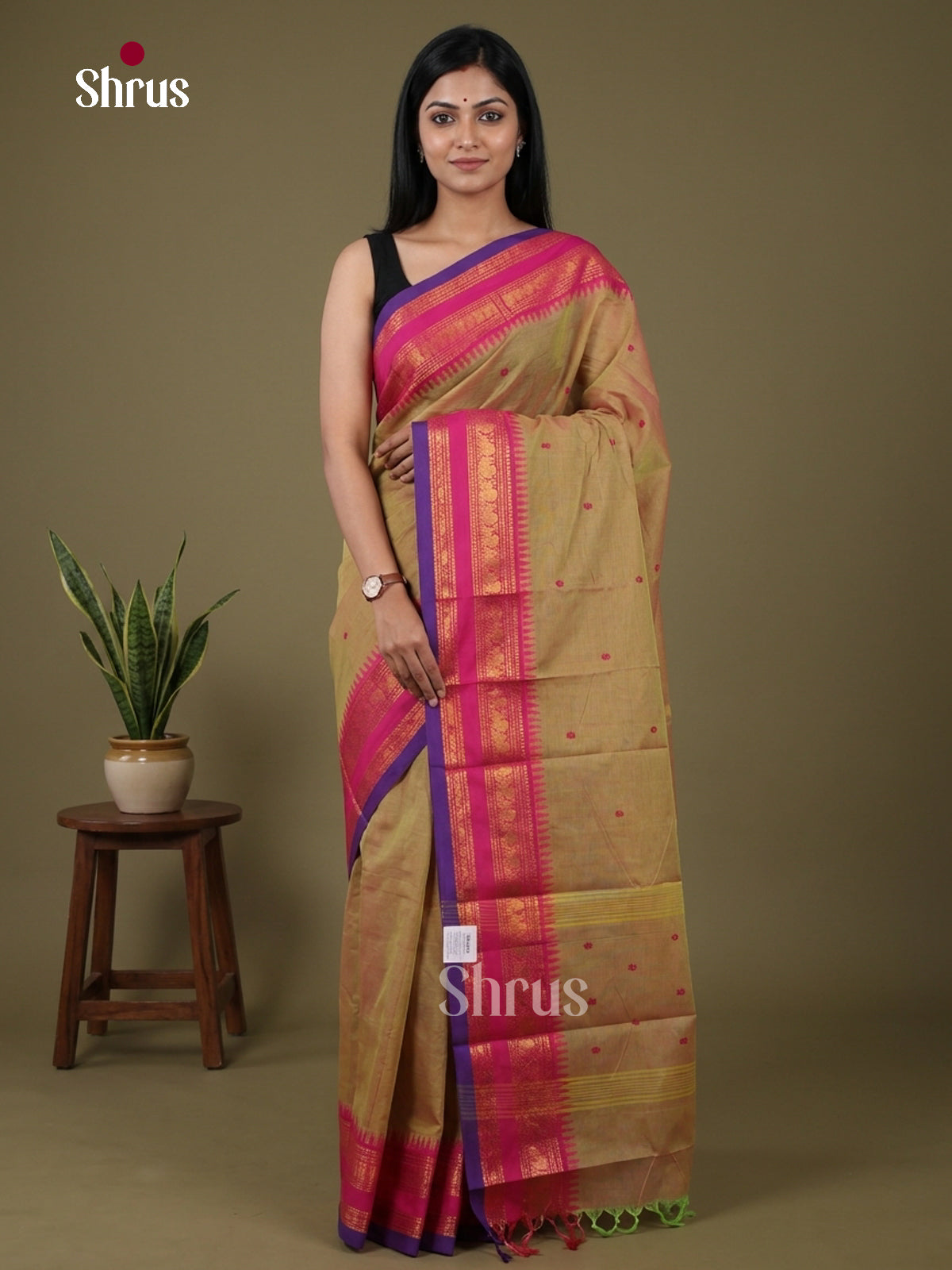 Chettinad Cotton Saree - EFS26018