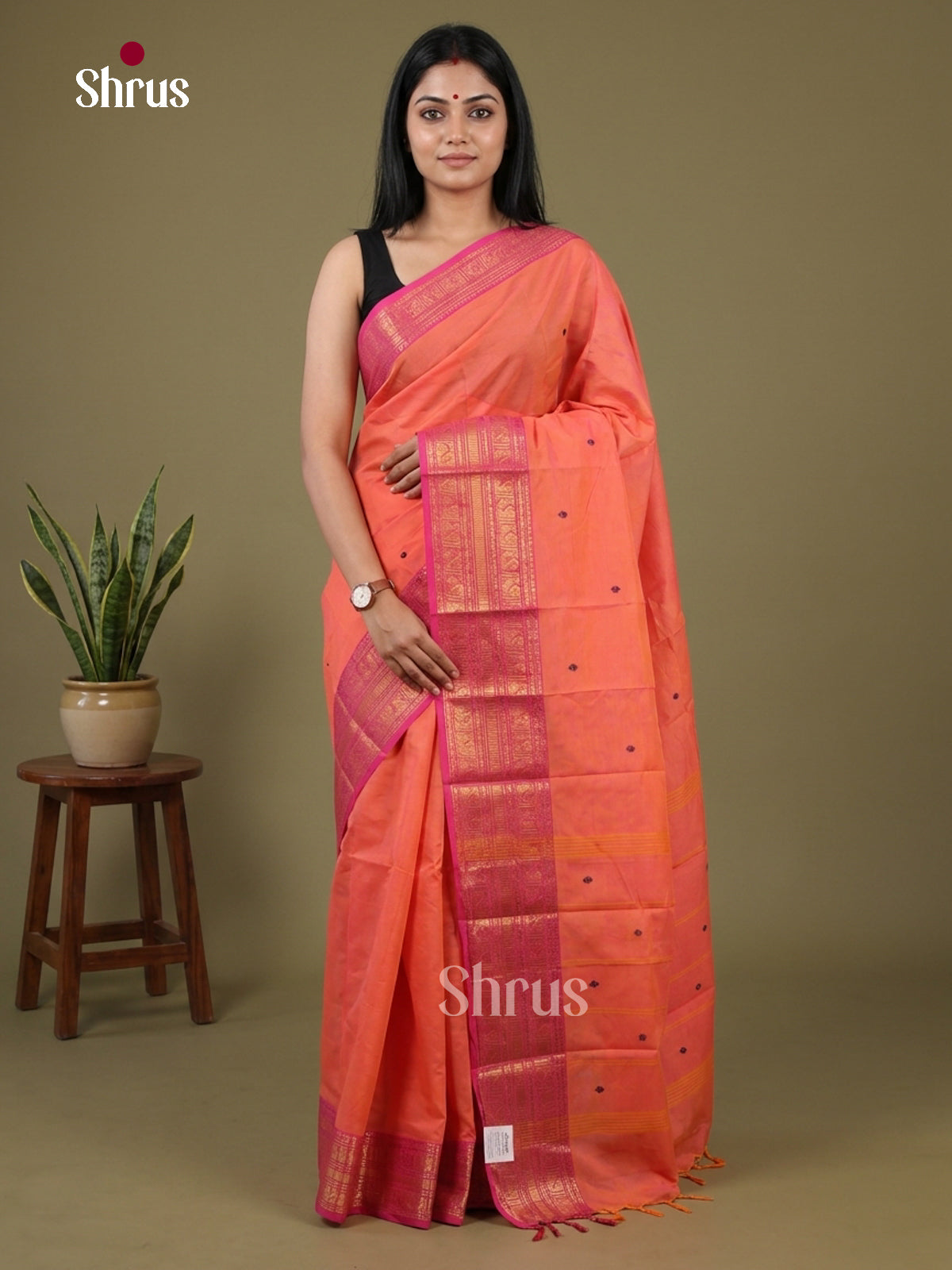 Chettinad Cotton Saree - EFS26021