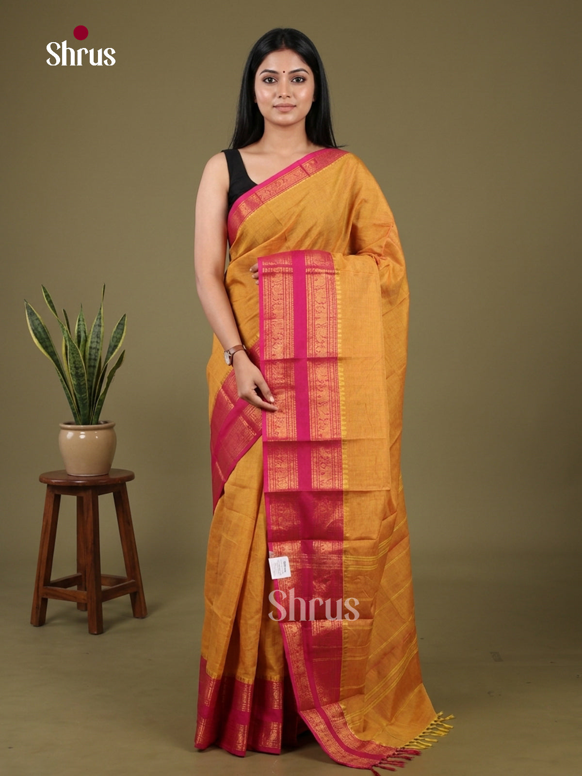 Chettinad Cotton Saree - EFS26040